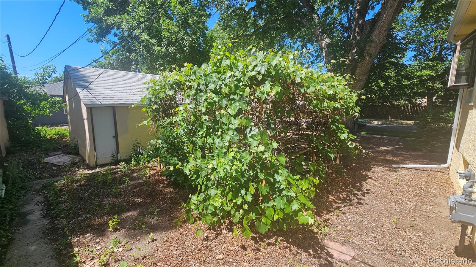 MLS Image #37 for 1347 n prospect street,colorado springs, Colorado
