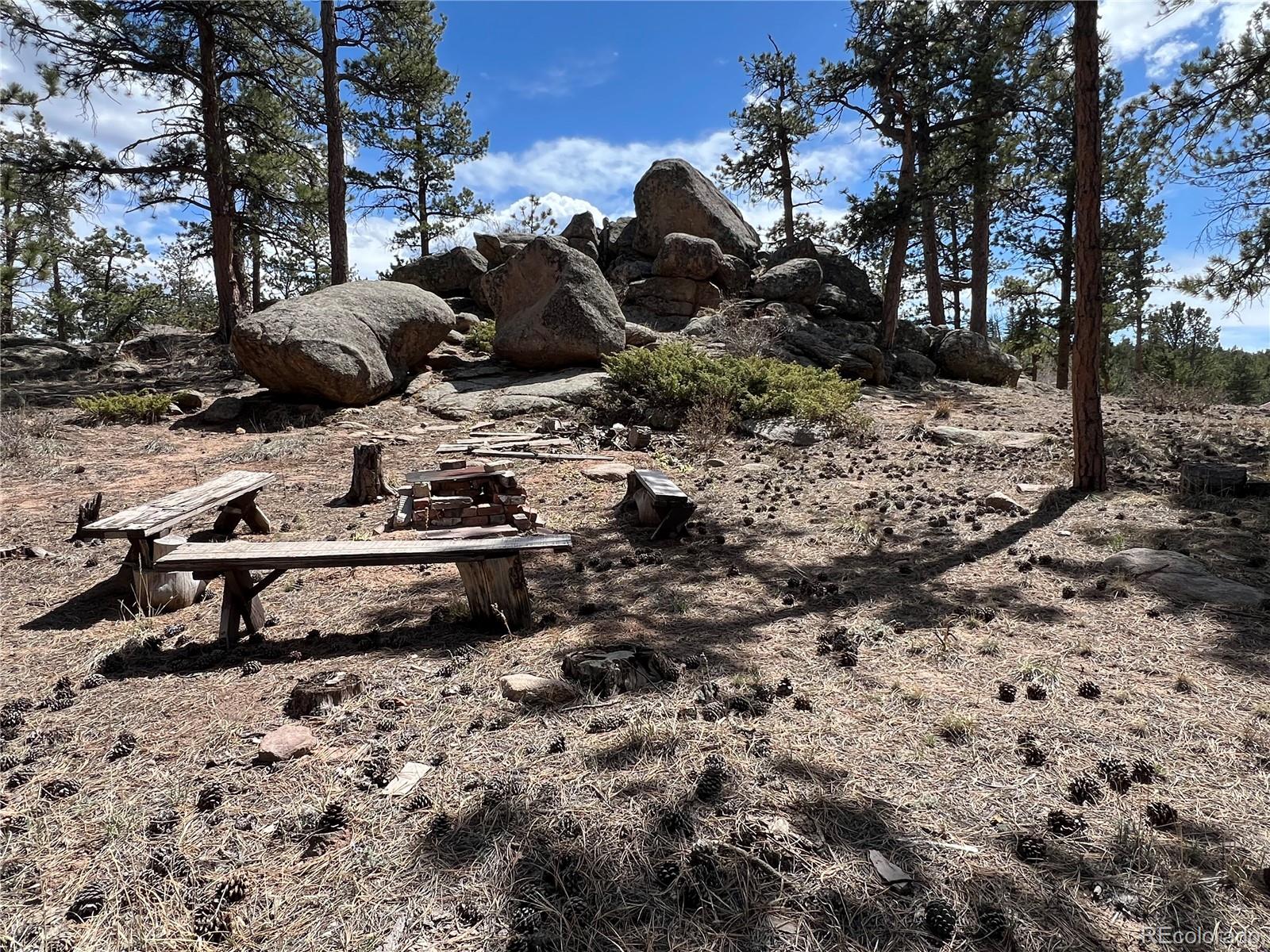 MLS Image #11 for 90  letitia drive,red feather lakes, Colorado