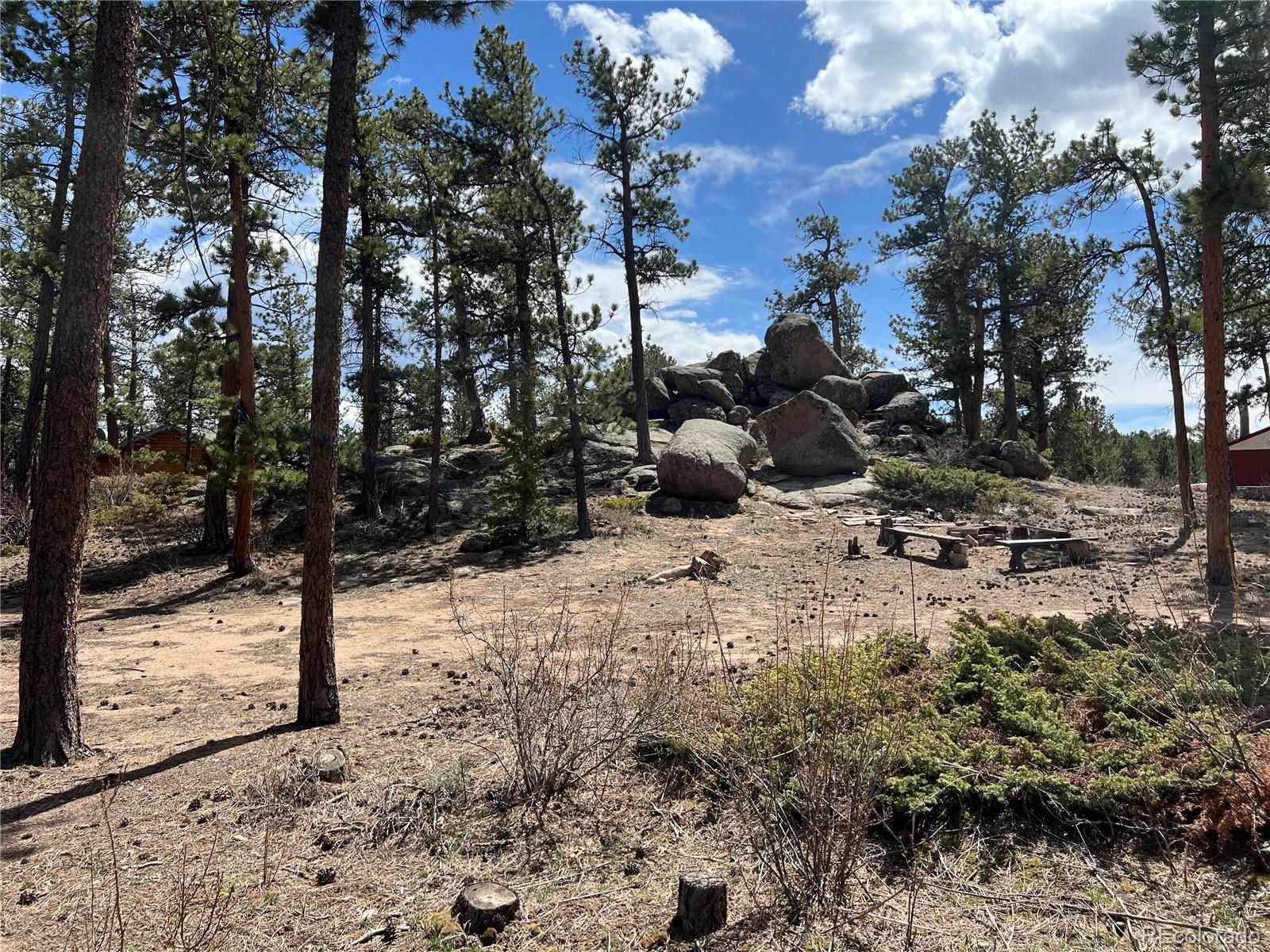 MLS Image #2 for 90  letitia drive,red feather lakes, Colorado