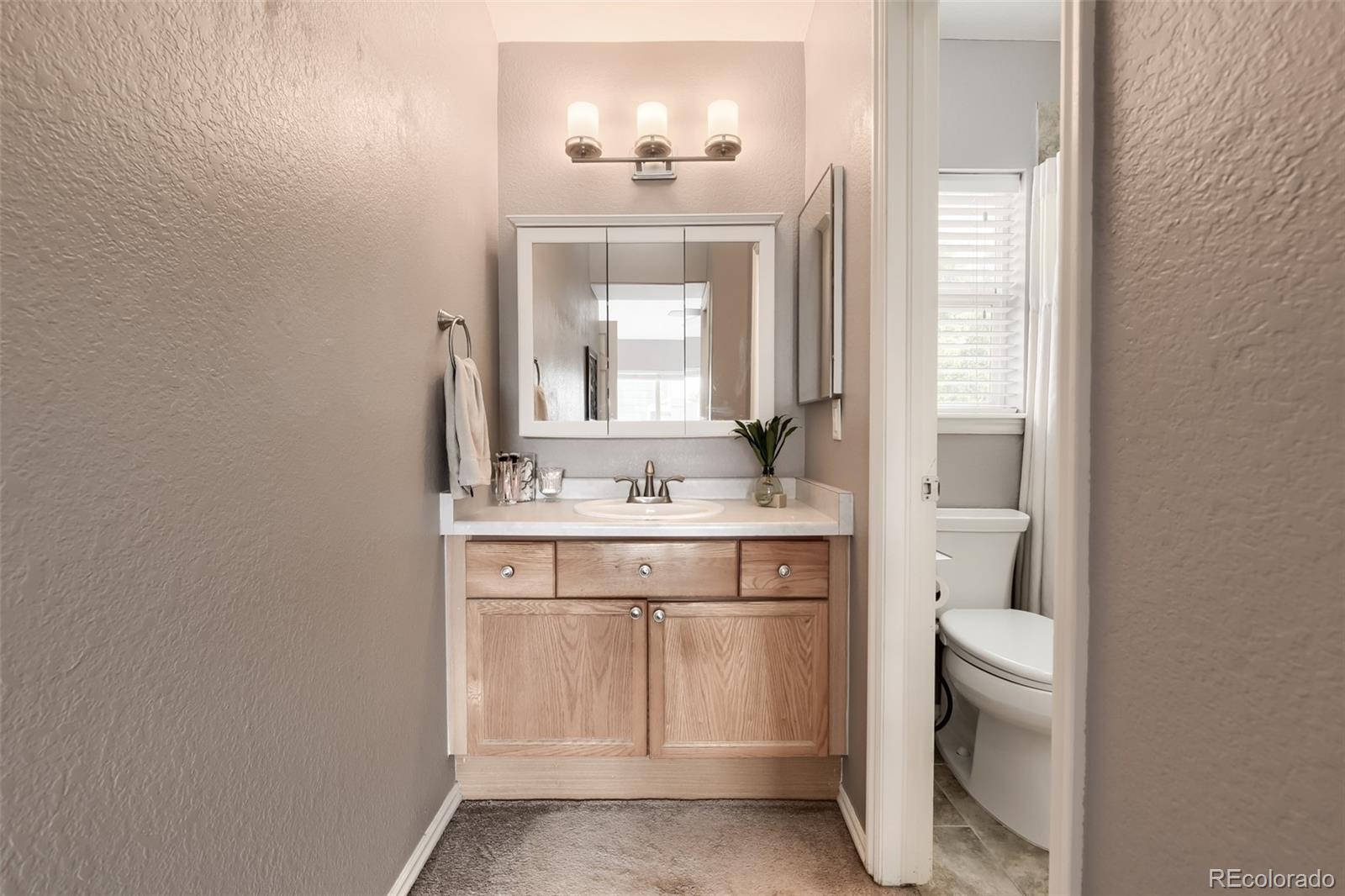 MLS Image #13 for 9831  sydney lane,highlands ranch, Colorado