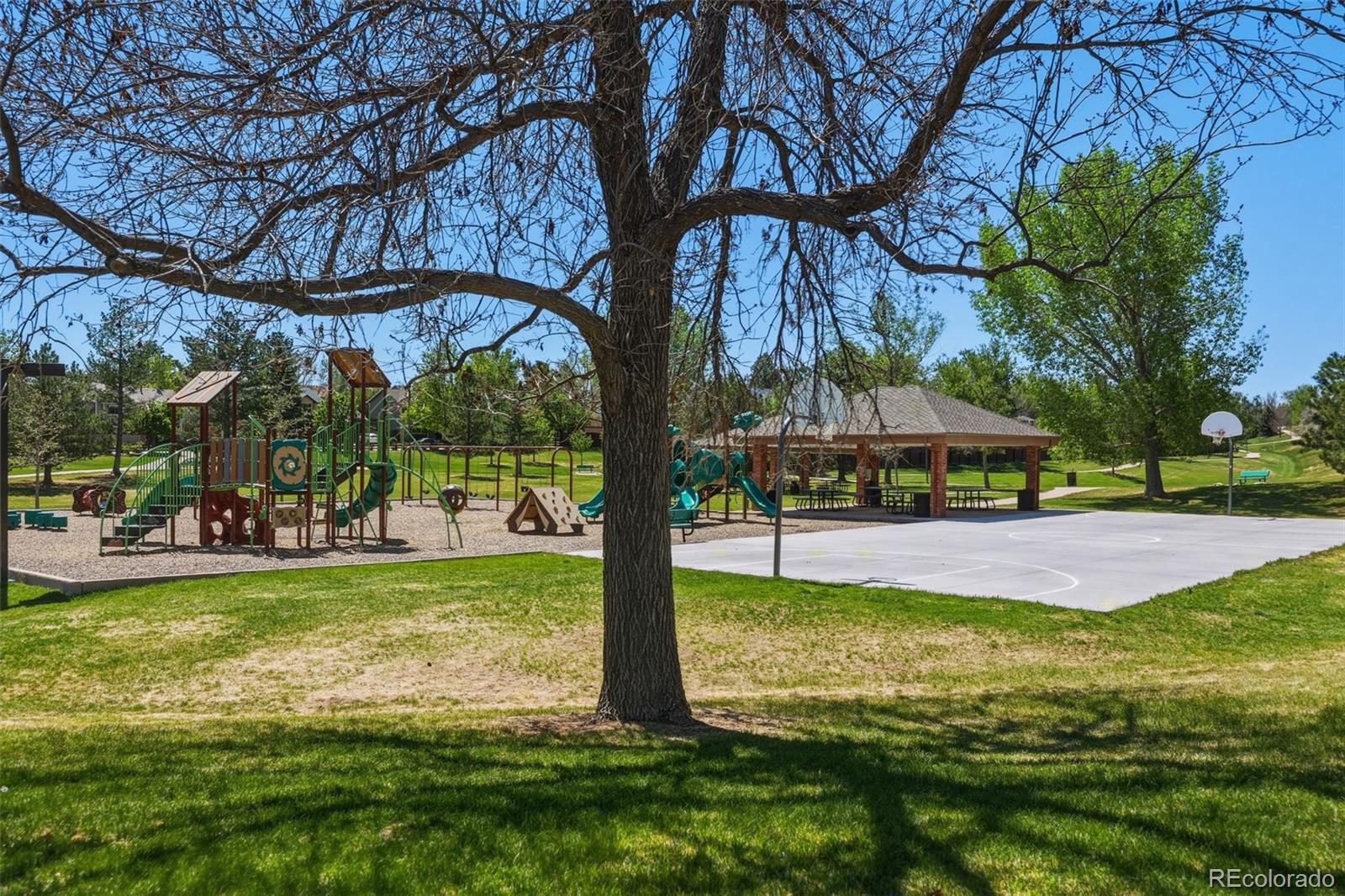 MLS Image #25 for 5671 s killarney way,centennial, Colorado