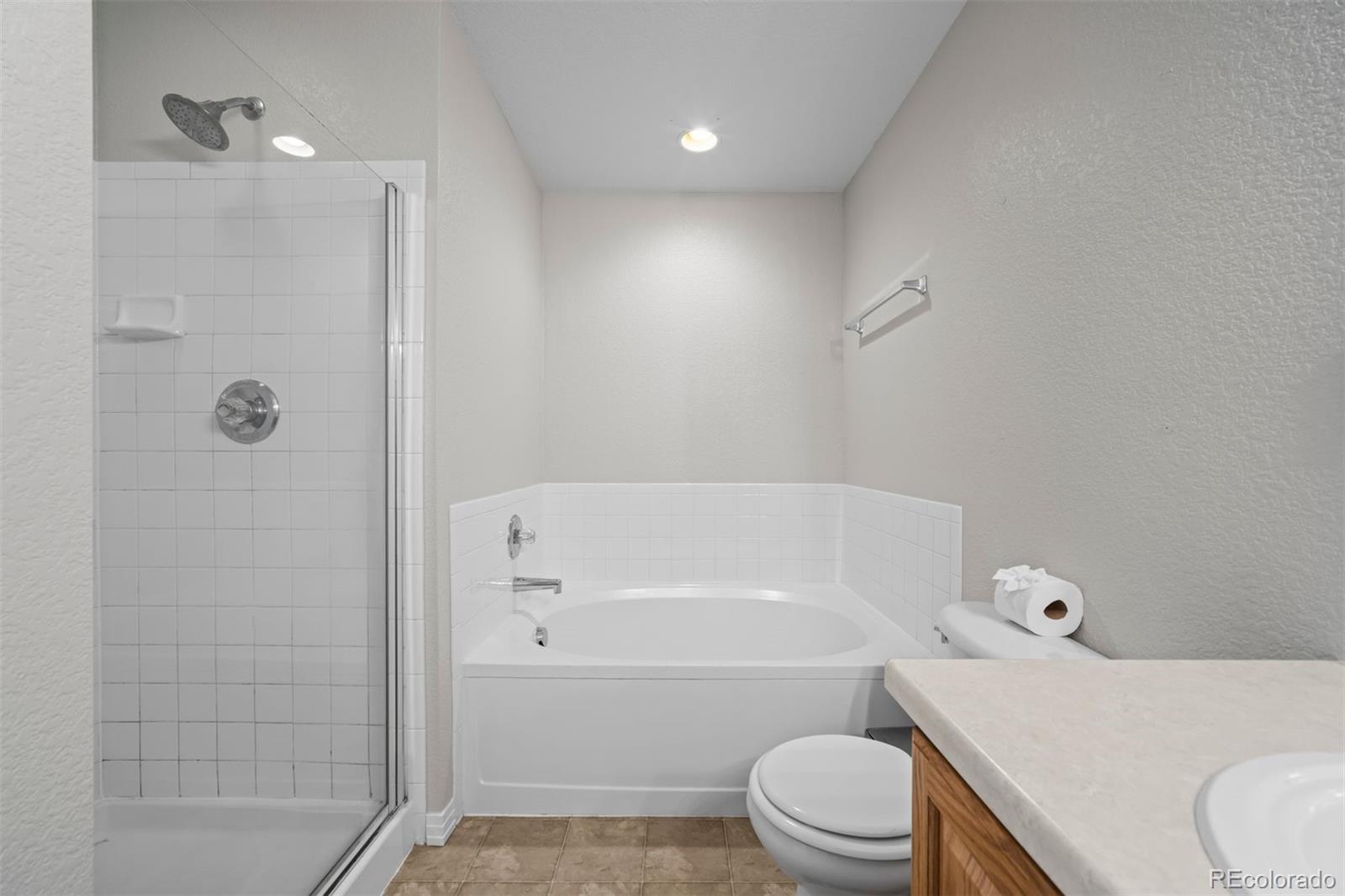 MLS Image #11 for 9306  amison circle,parker, Colorado
