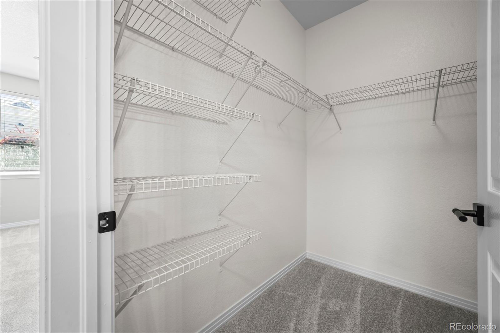 MLS Image #9 for 9306  amison circle,parker, Colorado