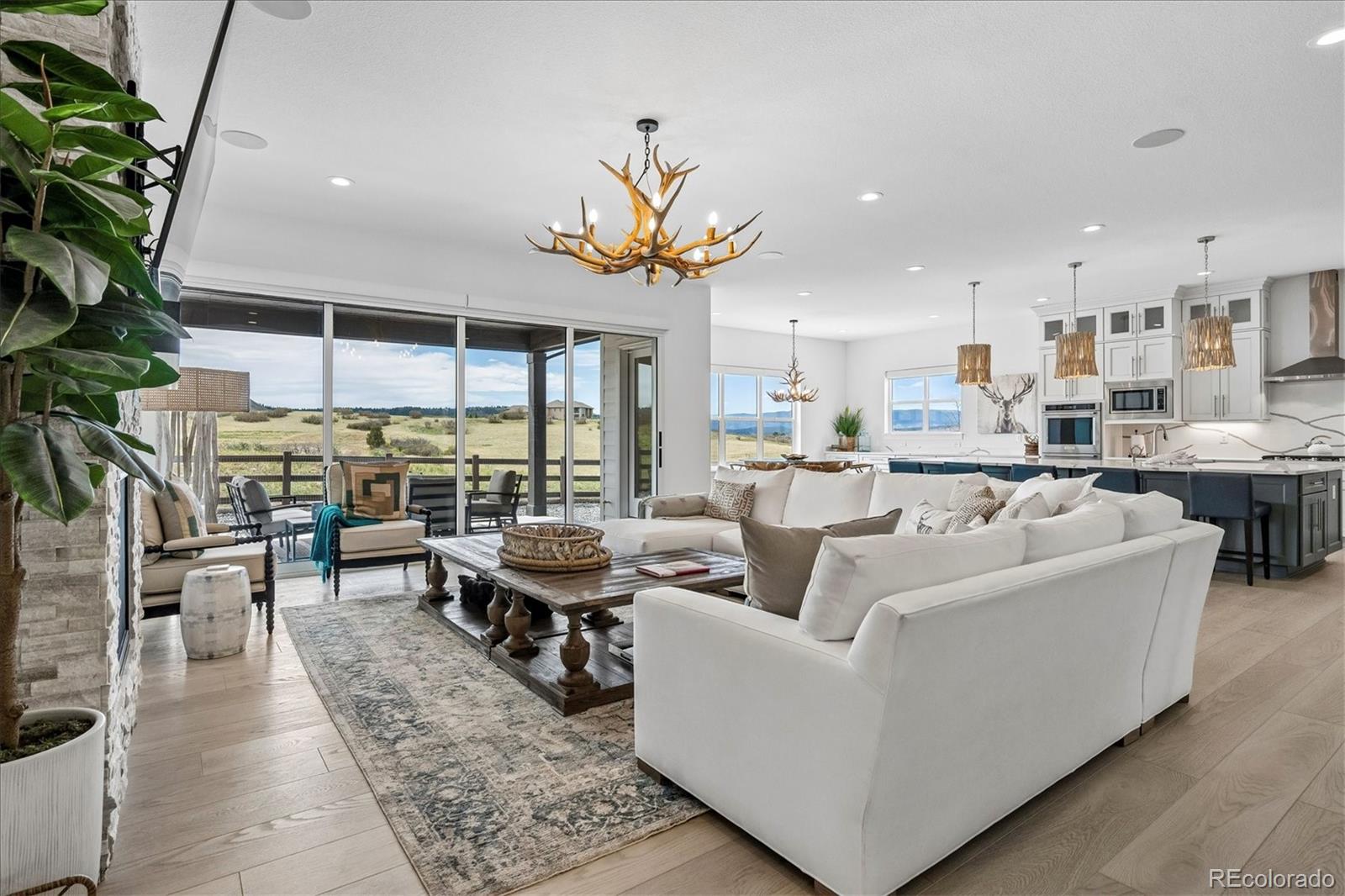 MLS Image #6 for 307  scrubjay lane,castle rock, Colorado