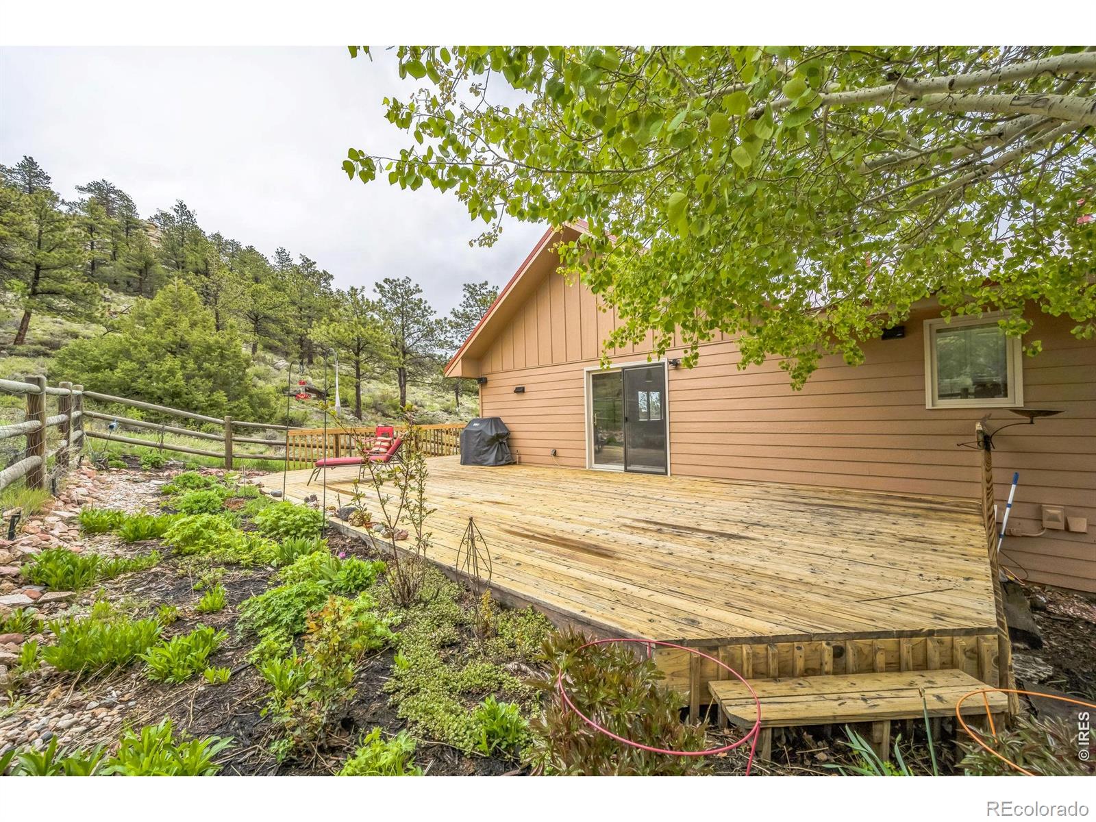 MLS Image #4 for 17284 w county road 74e ,red feather lakes, Colorado