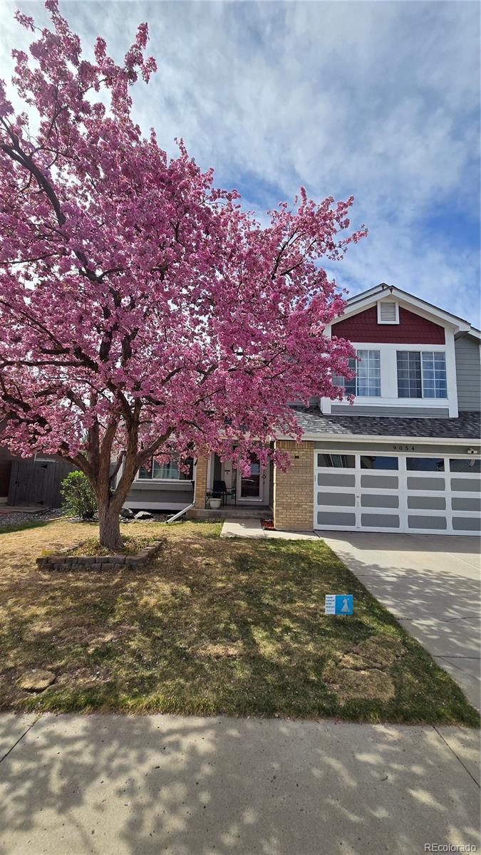 MLS Image #42 for 9054 w 103rd avenue,broomfield, Colorado