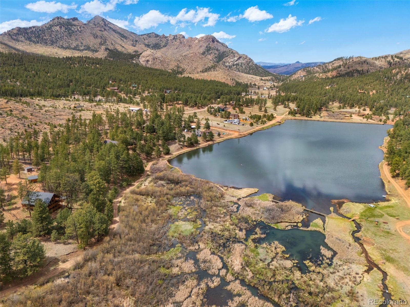 MLS Image #4 for 15372  westcreek road,woodland park, Colorado