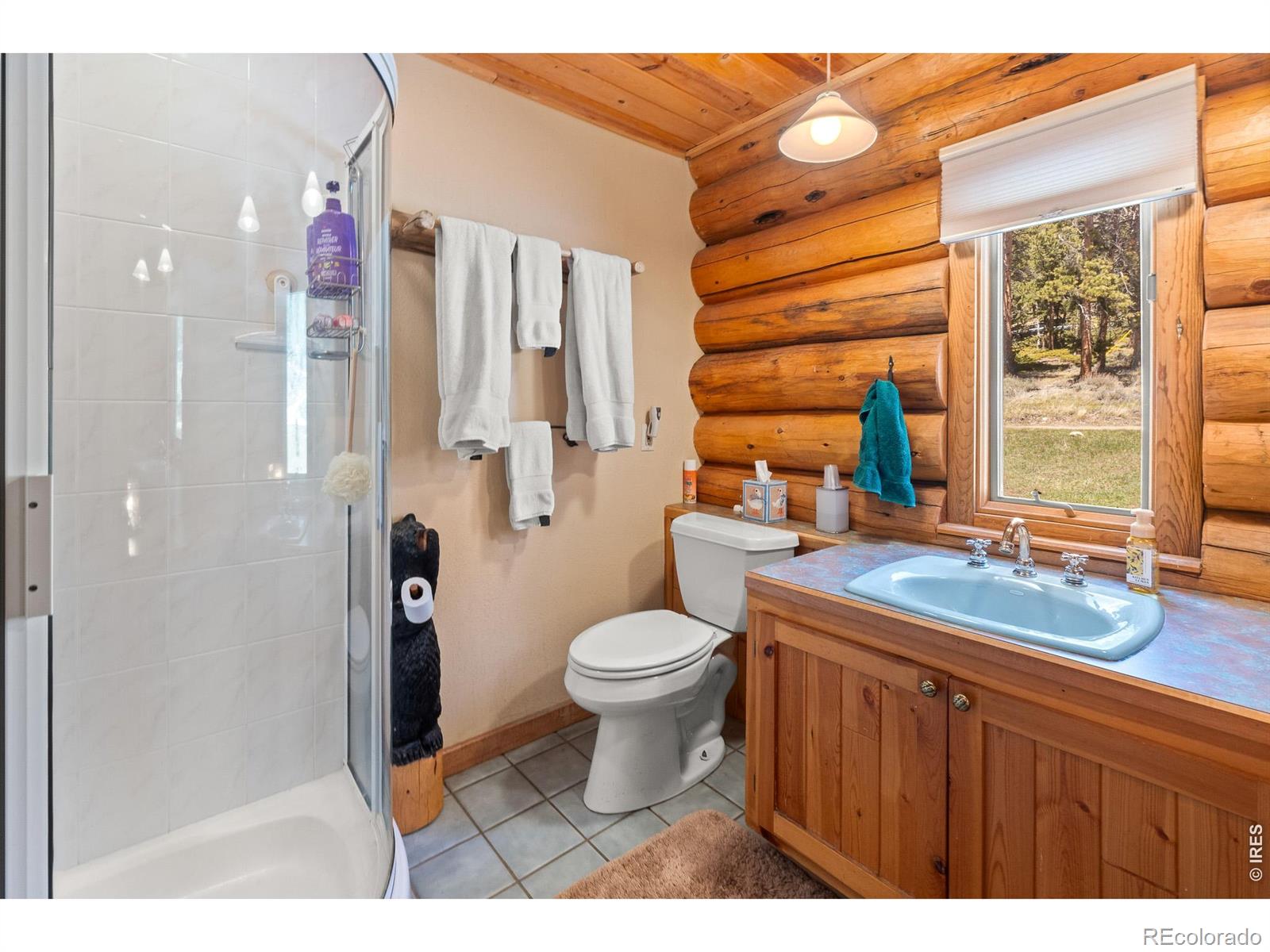 MLS Image #20 for 24  sarsi court,red feather lakes, Colorado