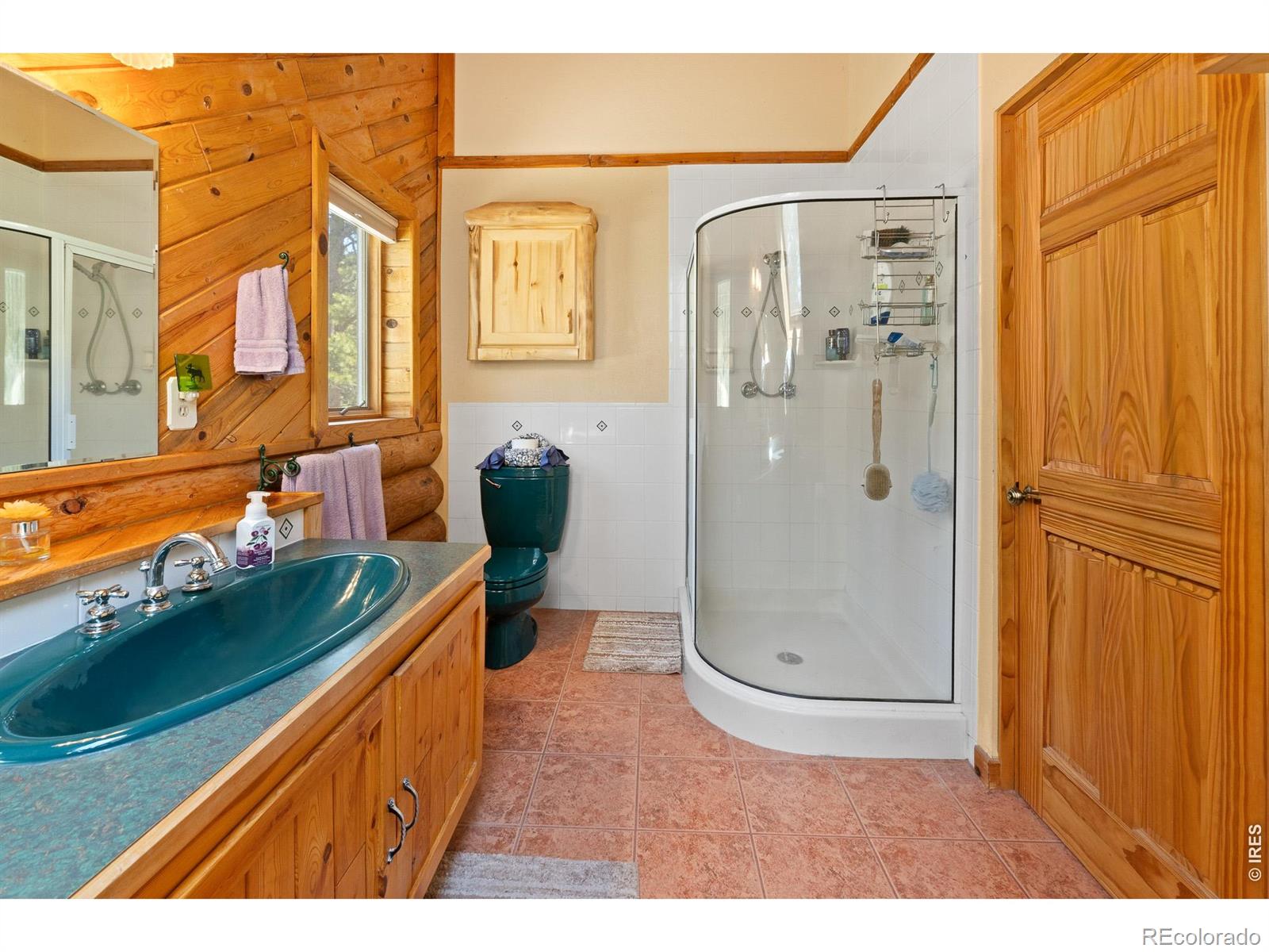 MLS Image #26 for 24  sarsi court,red feather lakes, Colorado