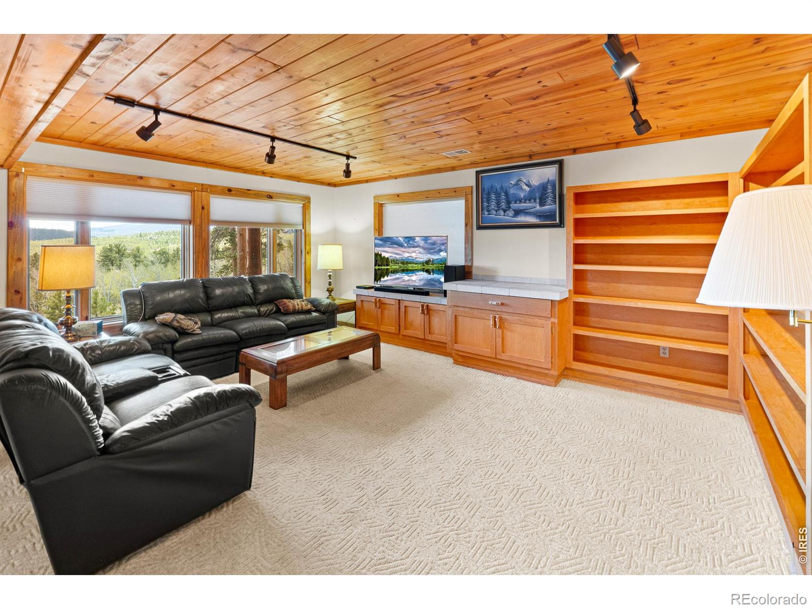 MLS Image #28 for 24  sarsi court,red feather lakes, Colorado