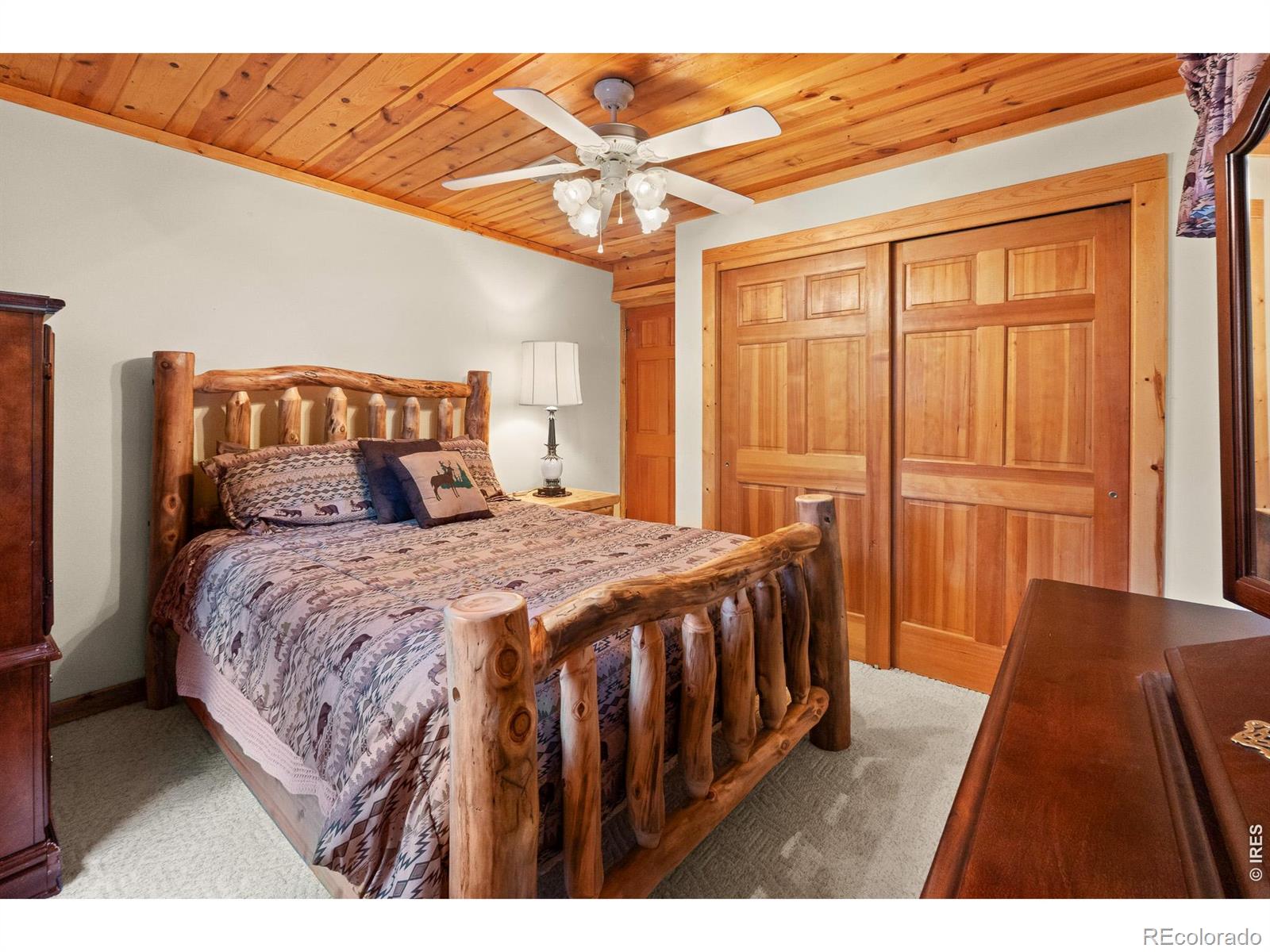MLS Image #29 for 24  sarsi court,red feather lakes, Colorado