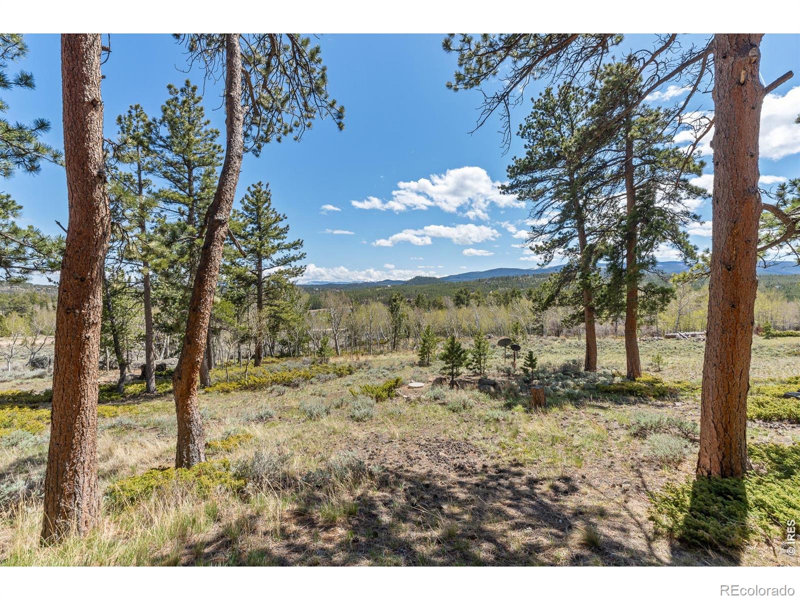MLS Image #34 for 24  sarsi court,red feather lakes, Colorado