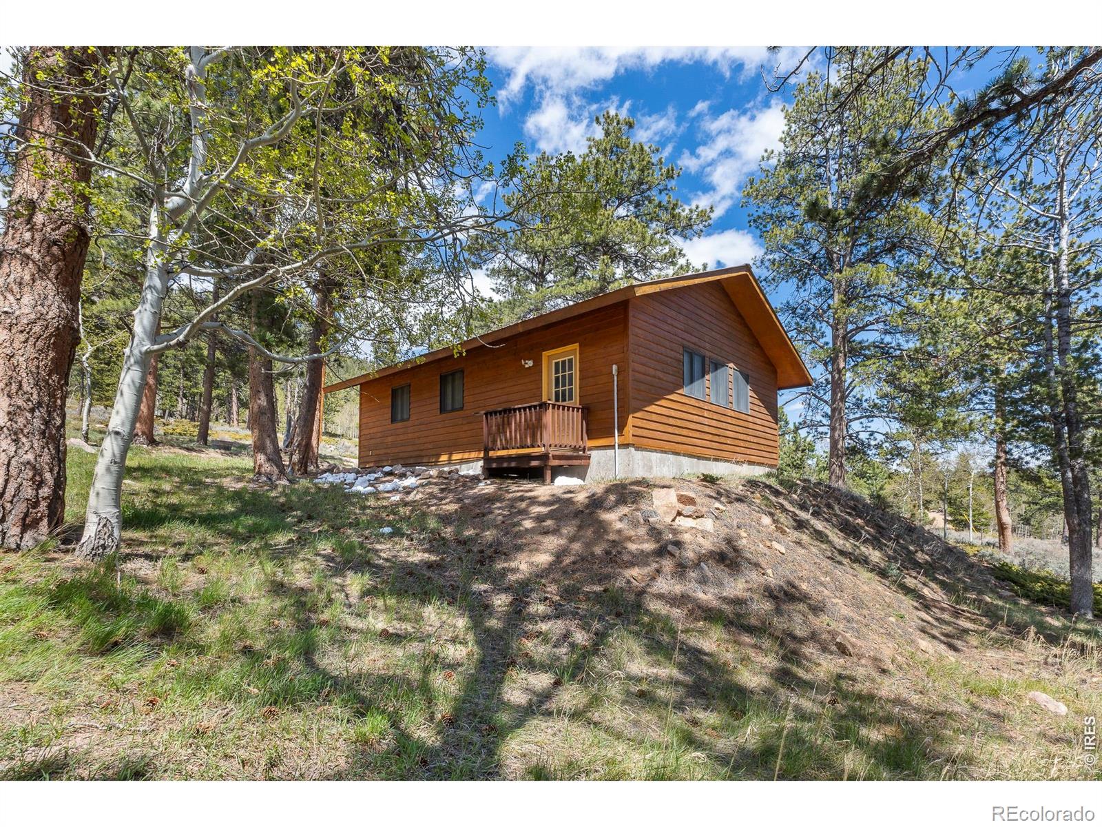 MLS Image #40 for 24  sarsi court,red feather lakes, Colorado