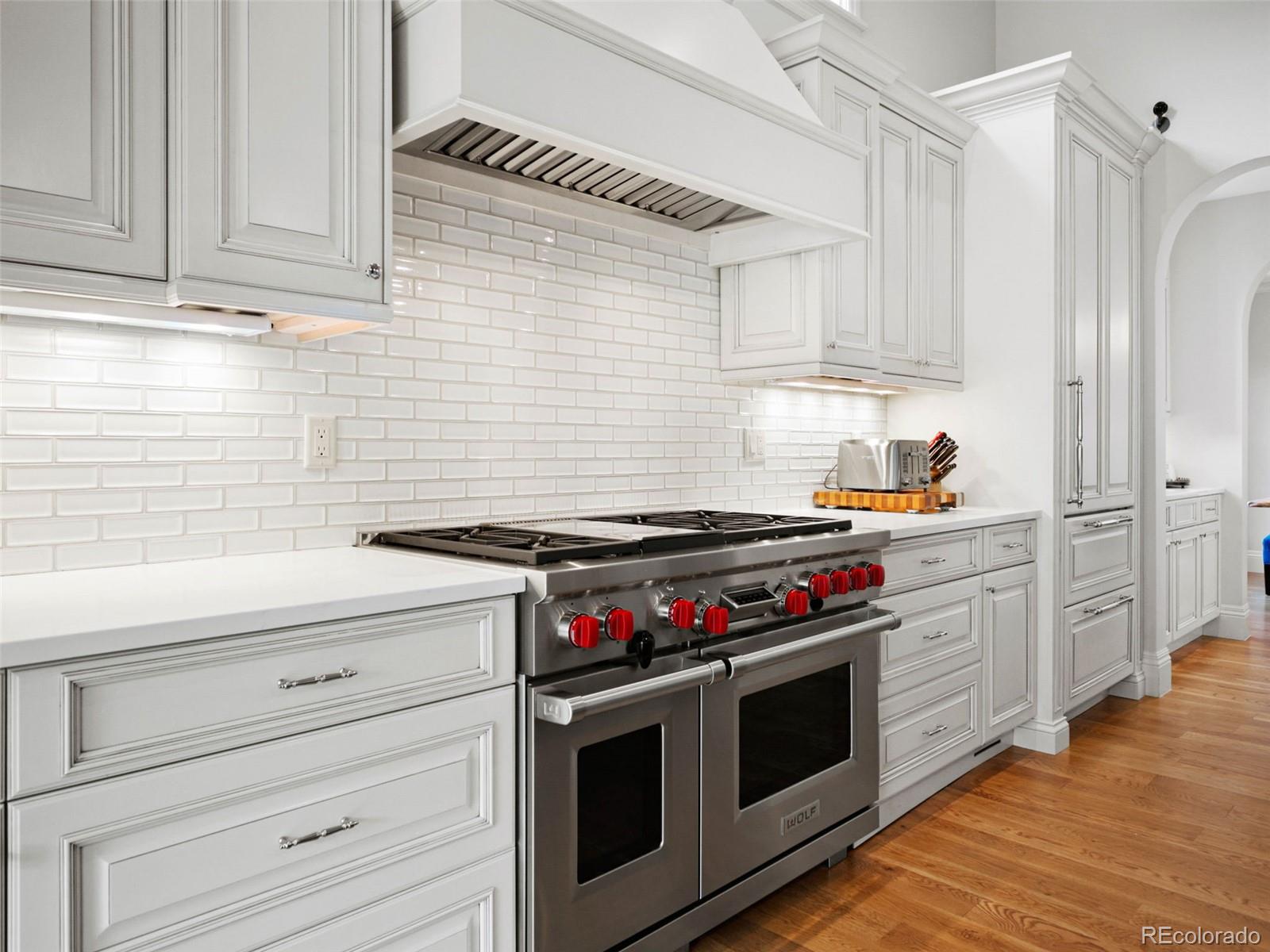 MLS Image #6 for 8095  galileo way,littleton, Colorado
