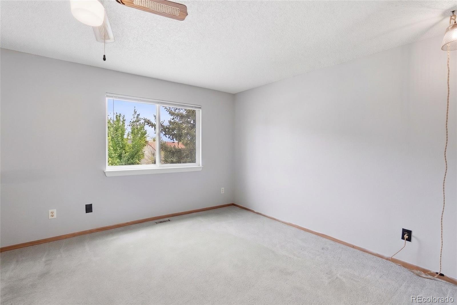 MLS Image #14 for 3820  soft breeze way,colorado springs, Colorado