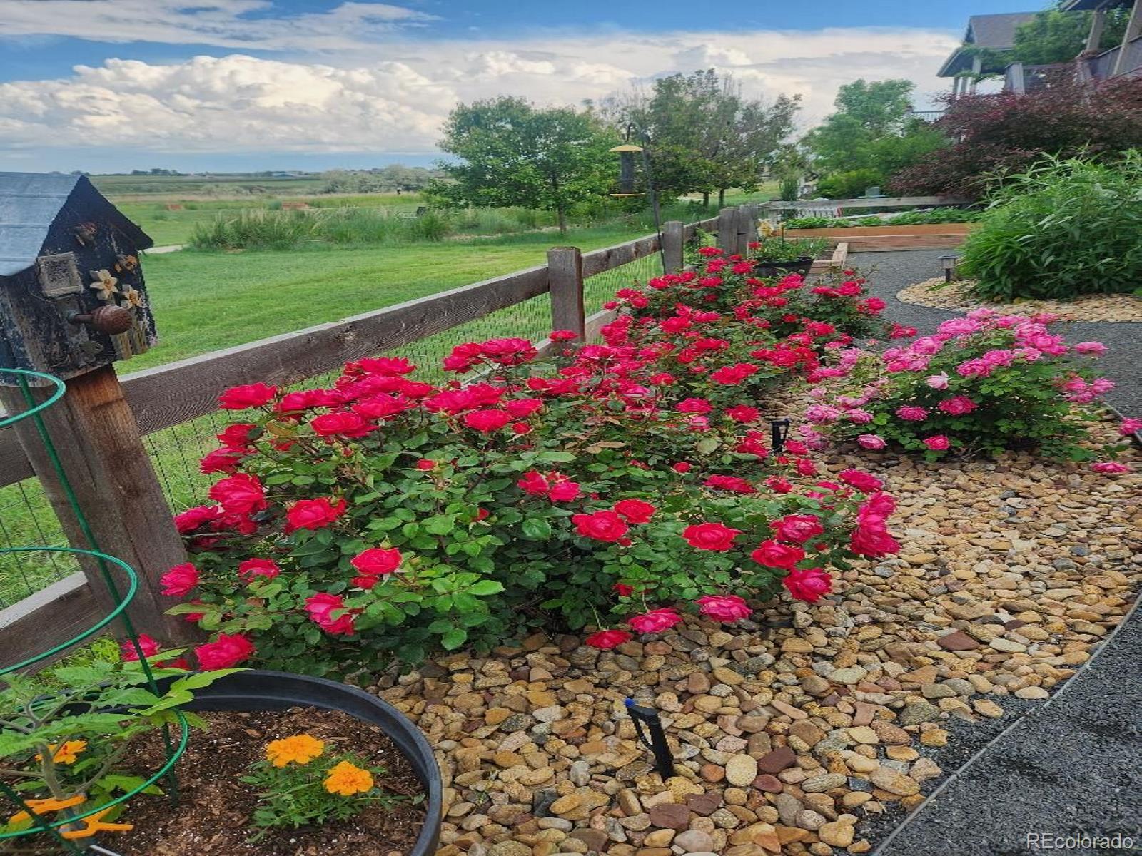 MLS Image #38 for 15674  elizabeth street,thornton, Colorado