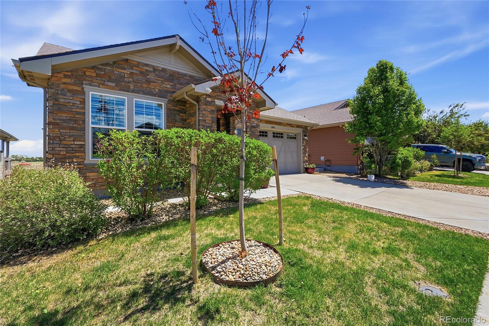 MLS Image #6 for 15674  elizabeth street,thornton, Colorado