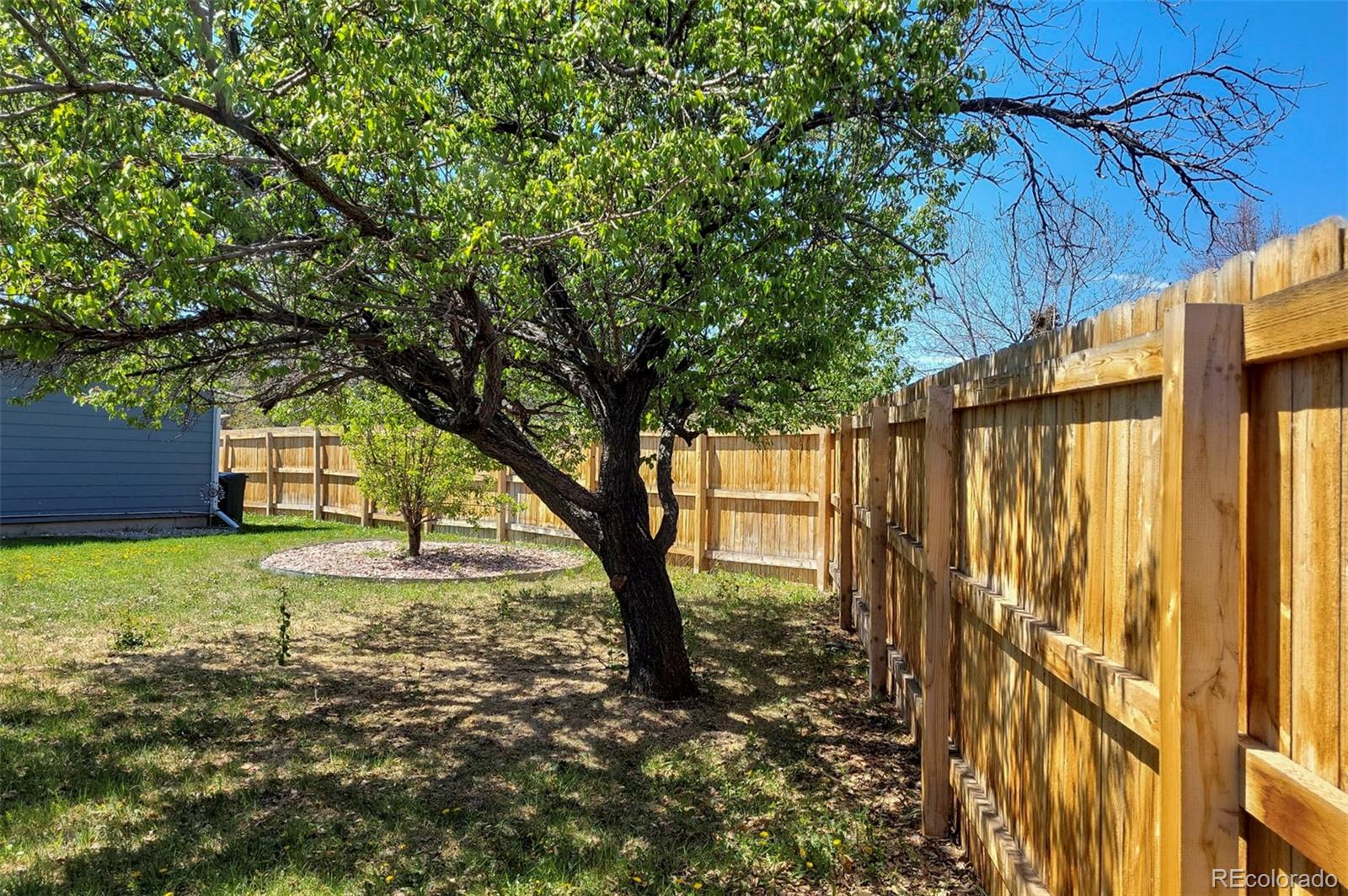 MLS Image #14 for 1089 s johnson way,lakewood, Colorado