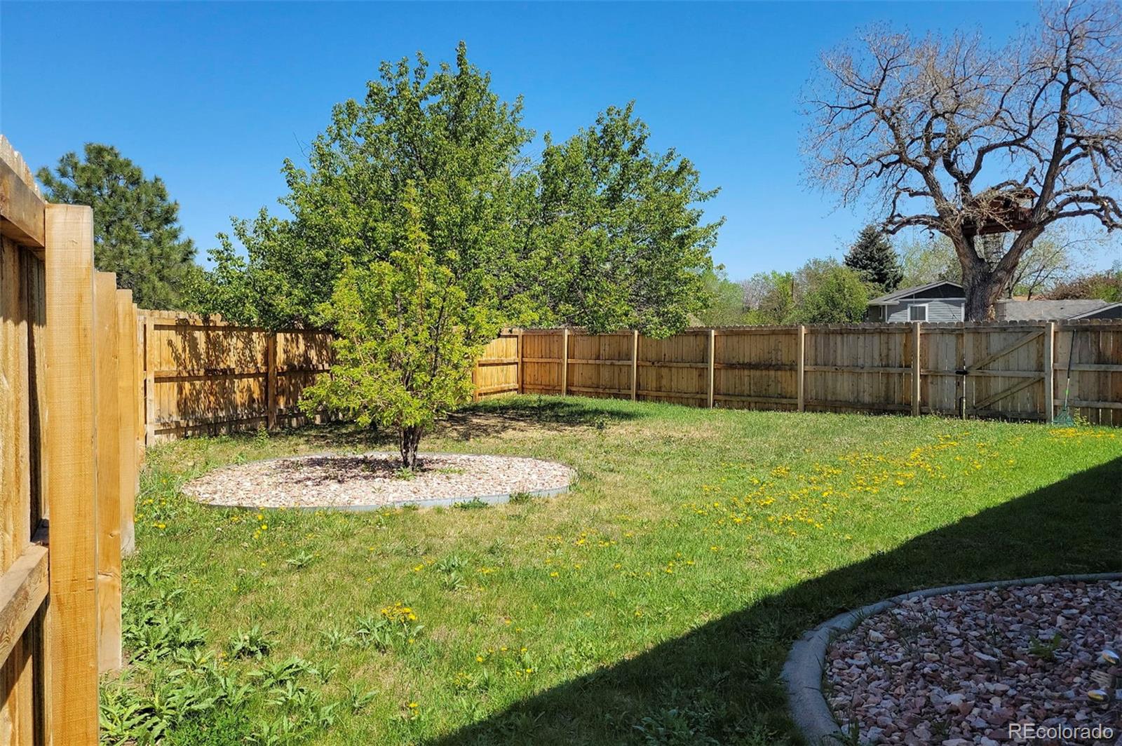 MLS Image #15 for 1089 s johnson way,lakewood, Colorado