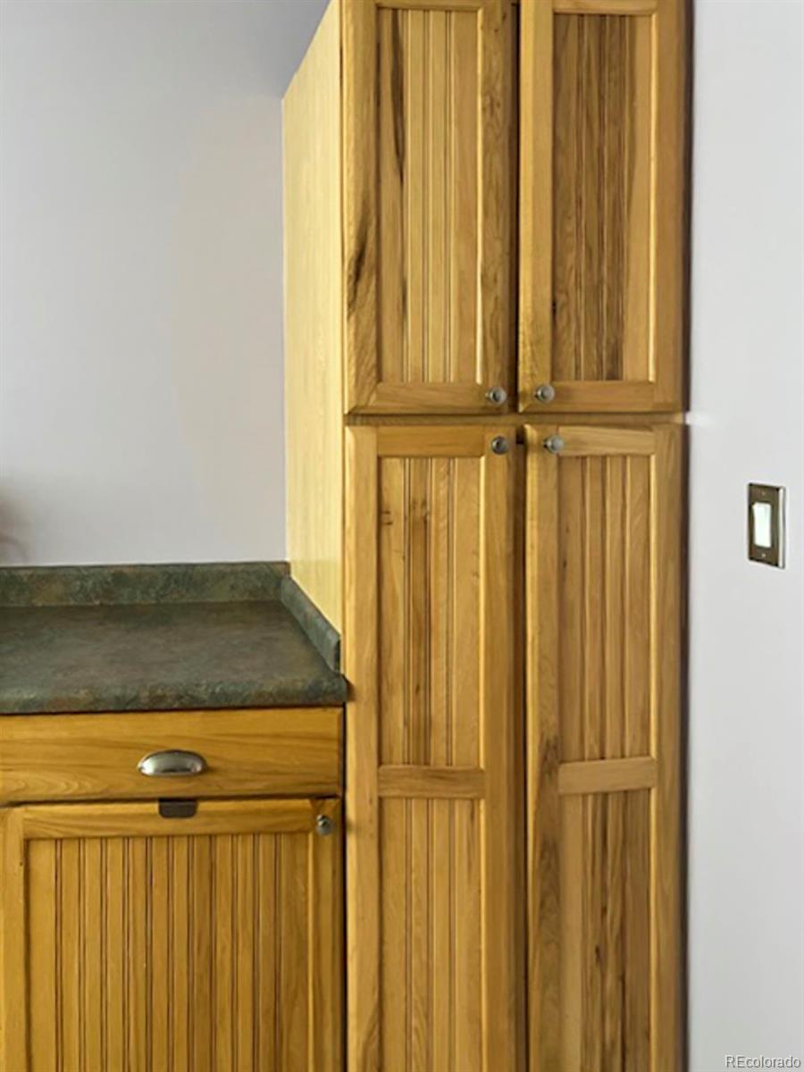 MLS Image #5 for 1089 s johnson way,lakewood, Colorado