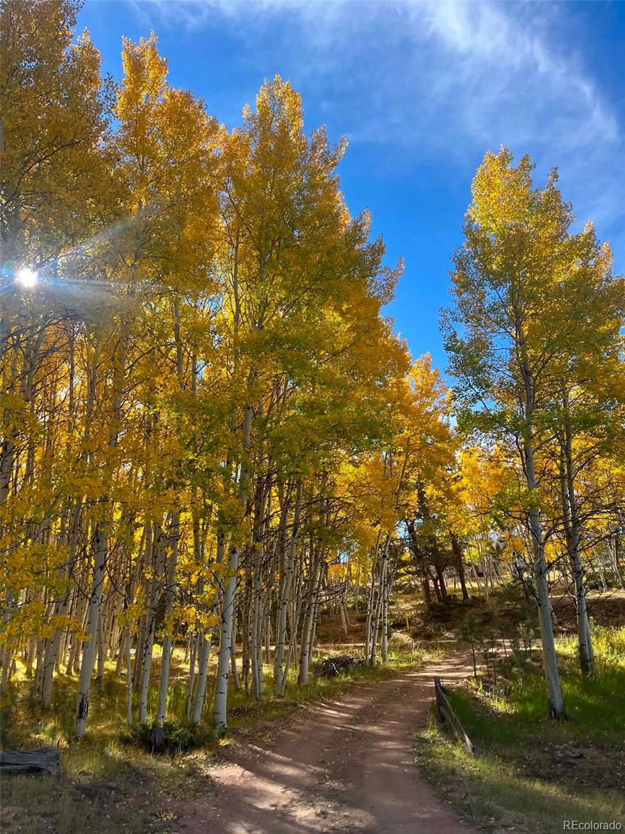 MLS Image #32 for 82 s mountain estates road,florissant, Colorado