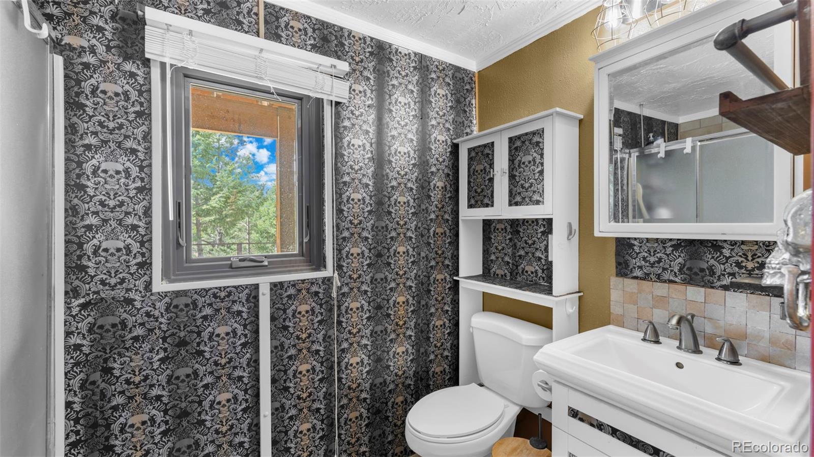 MLS Image #6 for 82 s mountain estates road,florissant, Colorado