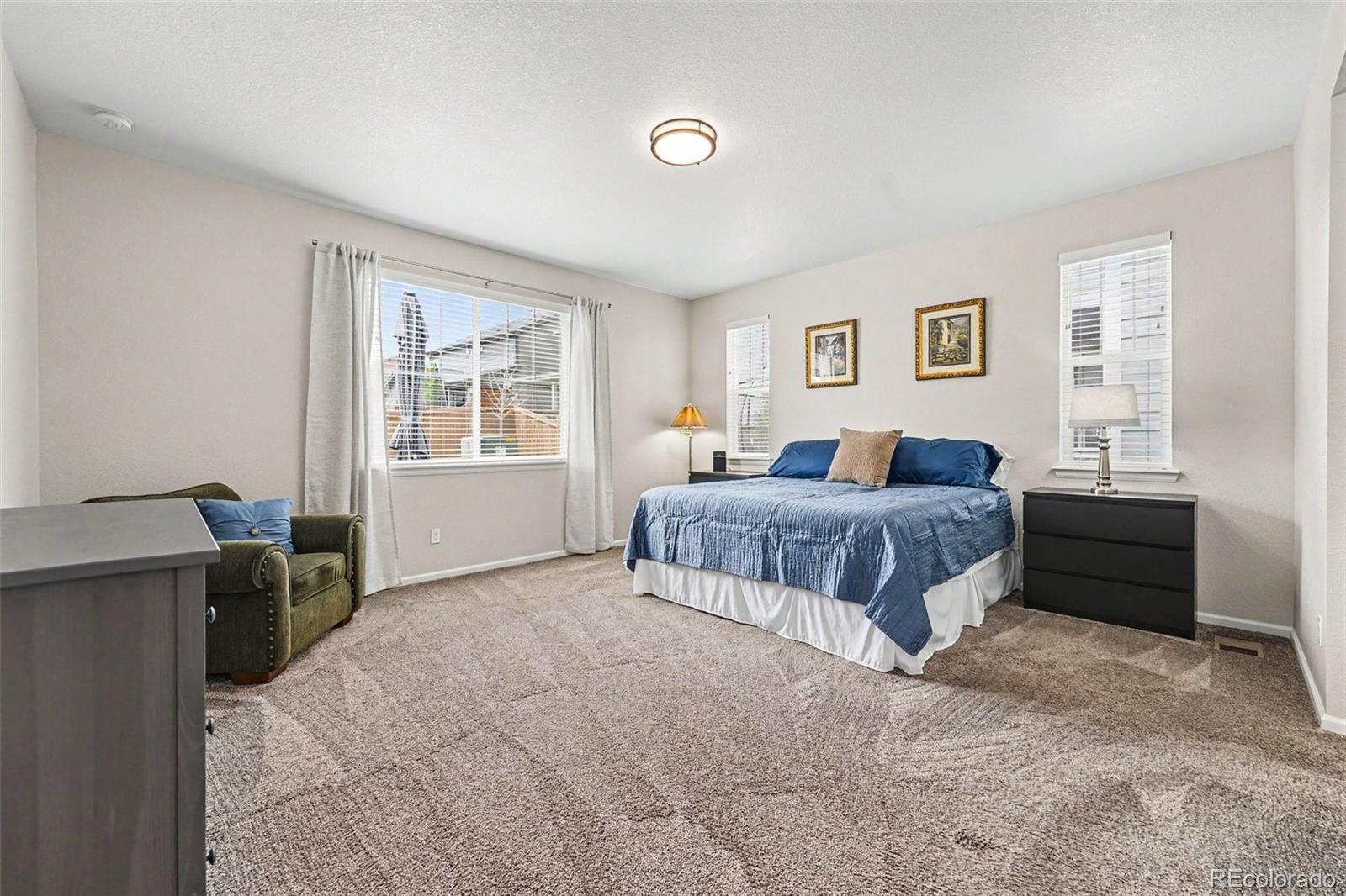 MLS Image #16 for 3708  white rose loop,castle rock, Colorado