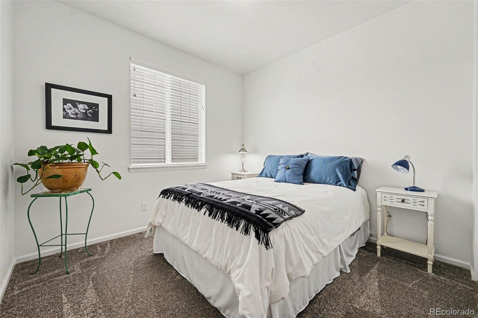 MLS Image #21 for 3708  white rose loop,castle rock, Colorado