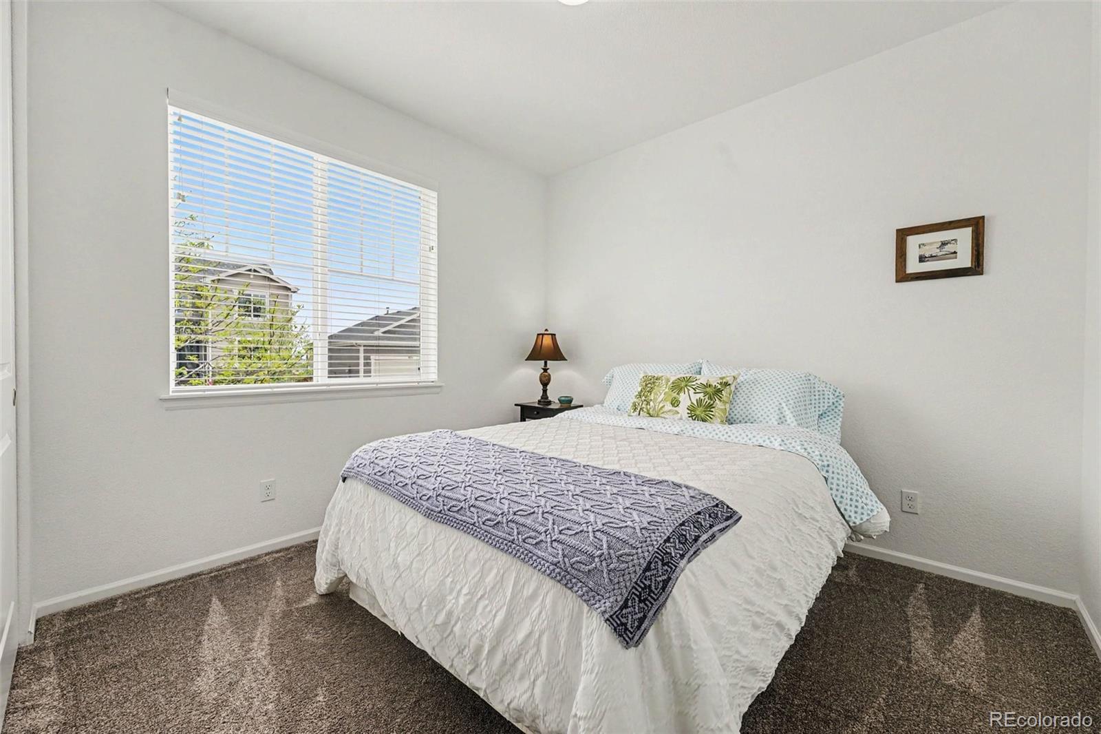 MLS Image #22 for 3708  white rose loop,castle rock, Colorado