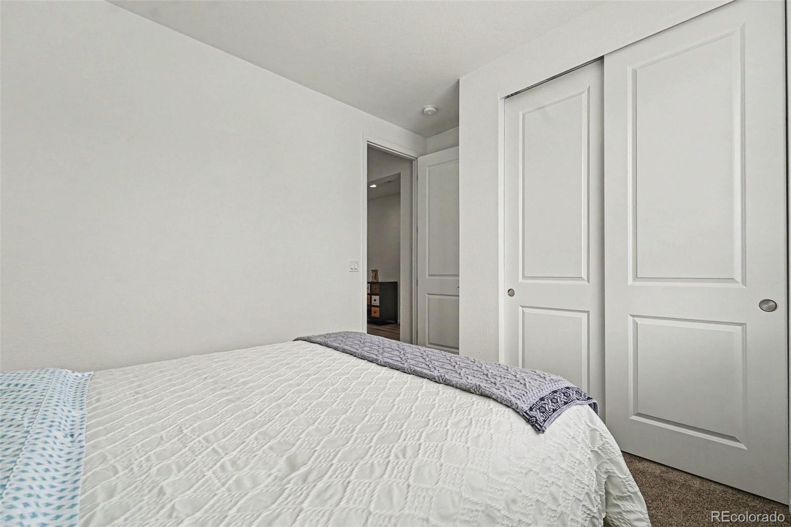 MLS Image #23 for 3708  white rose loop,castle rock, Colorado