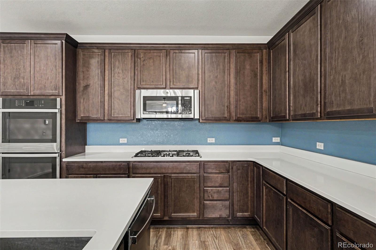MLS Image #5 for 3708  white rose loop,castle rock, Colorado