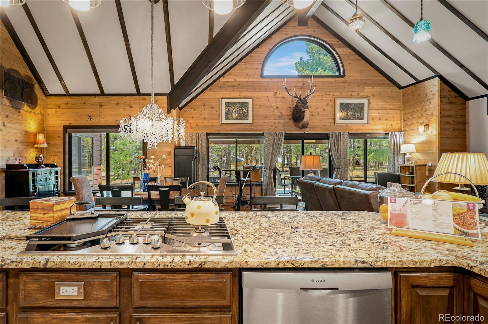 MLS Image #17 for 125  teakwood drive,pagosa springs, Colorado