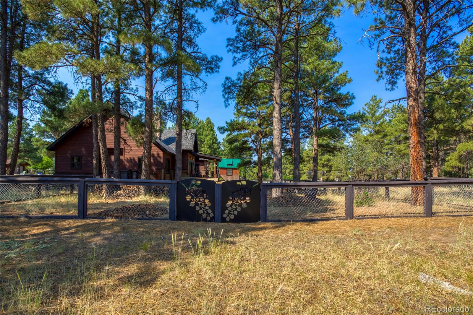 MLS Image #43 for 125  teakwood drive,pagosa springs, Colorado
