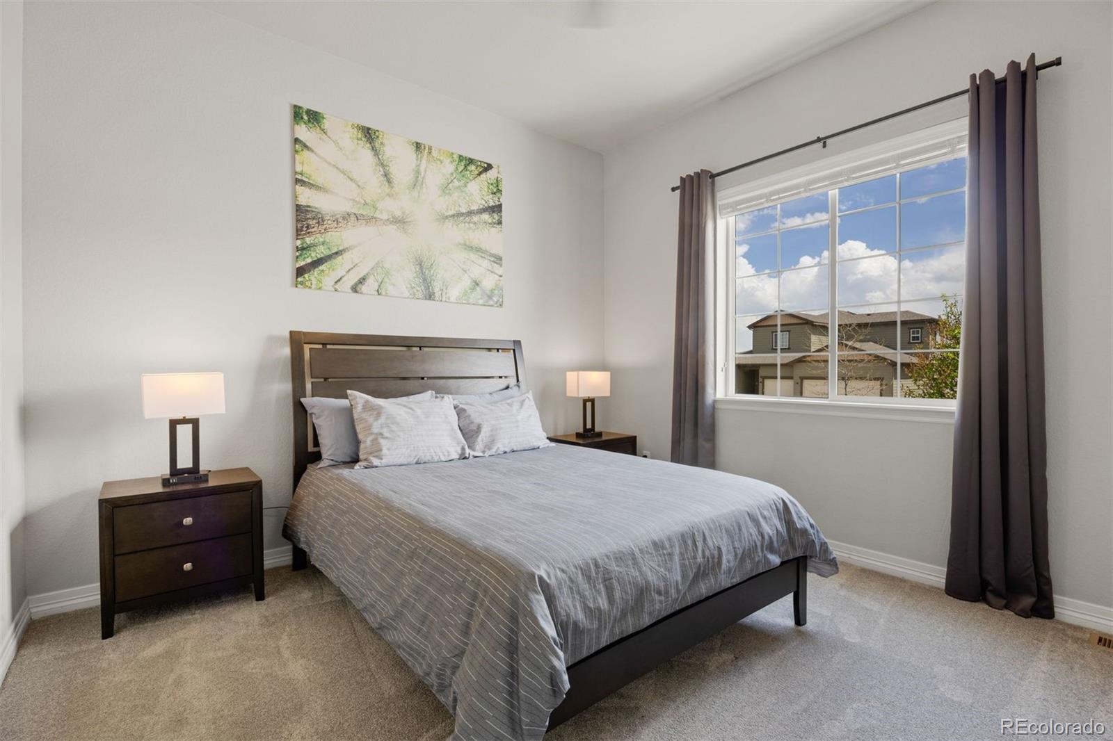 MLS Image #13 for 4071  spanish oaks court,castle rock, Colorado