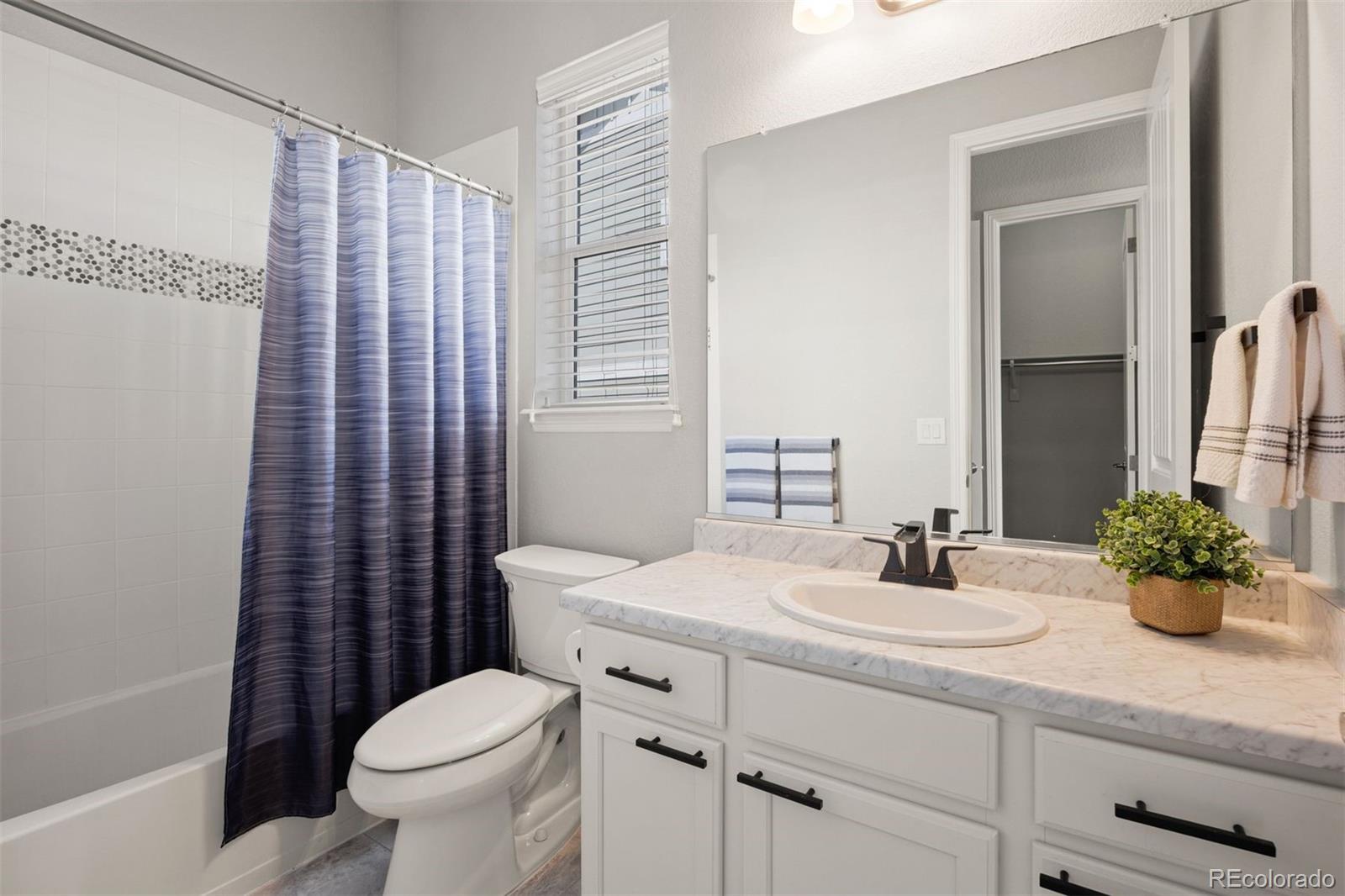 MLS Image #15 for 4071  spanish oaks court,castle rock, Colorado