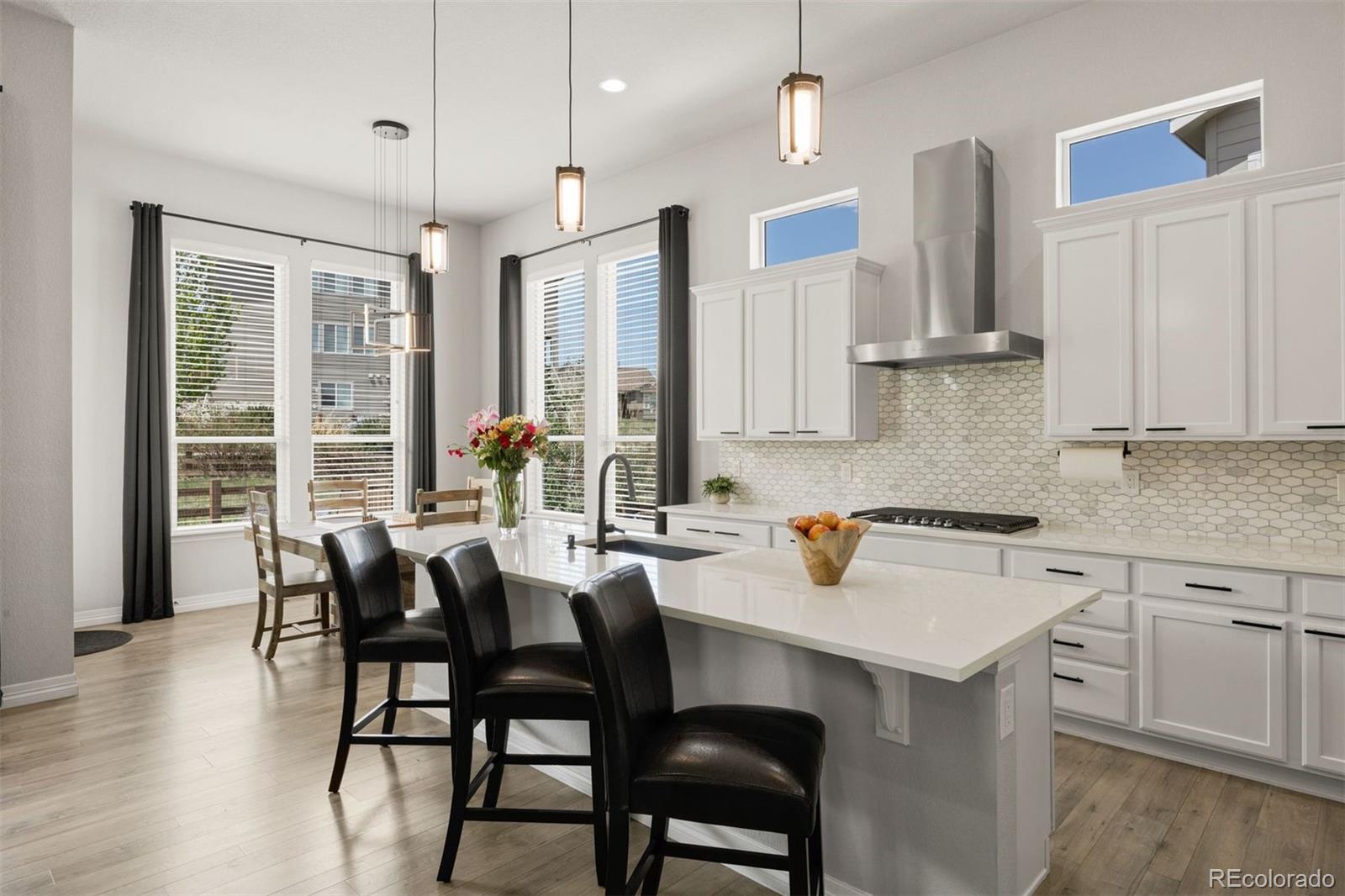 MLS Image #4 for 4071  spanish oaks court,castle rock, Colorado