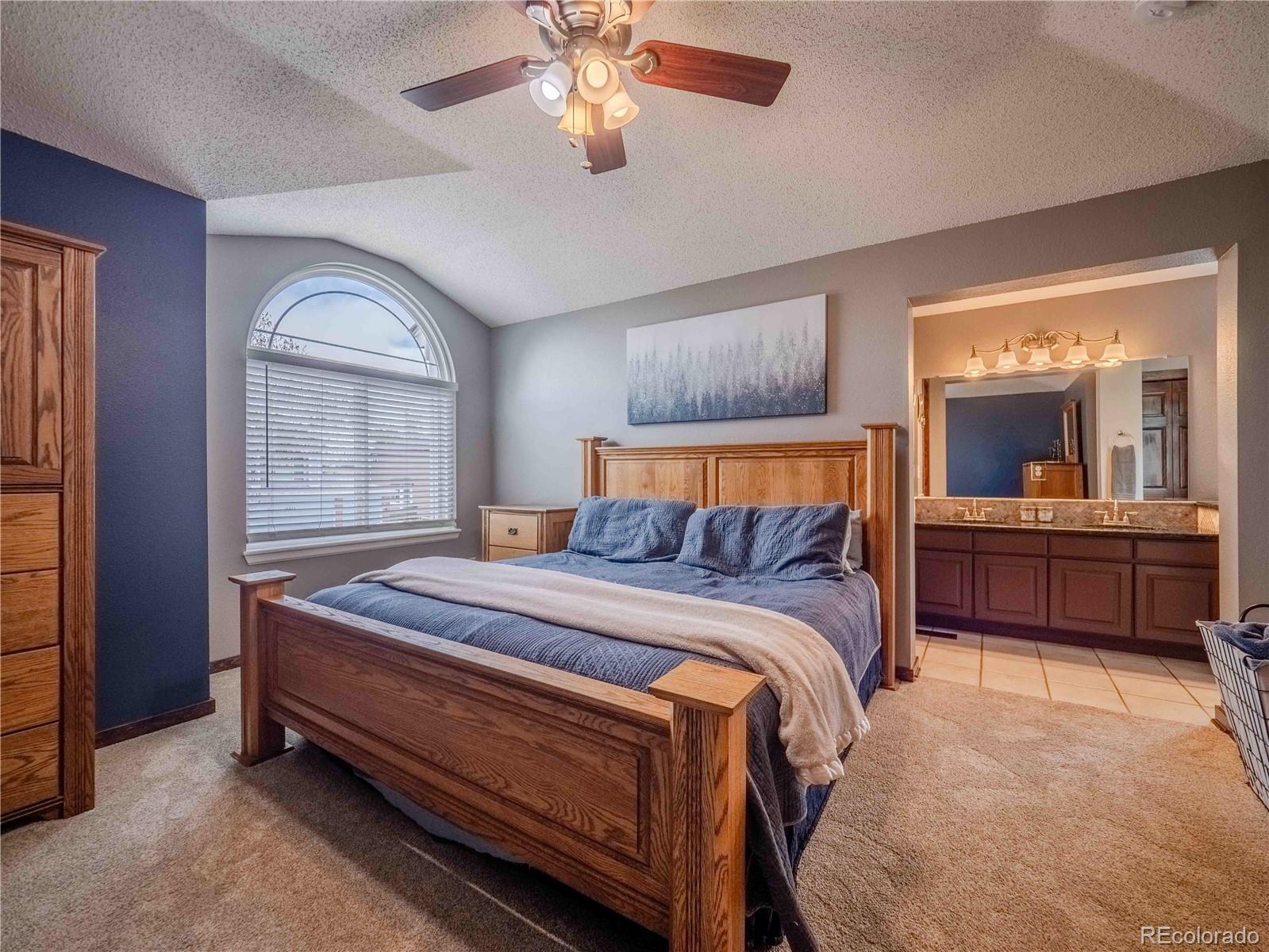 MLS Image #23 for 10071  silver maple circle,highlands ranch, Colorado