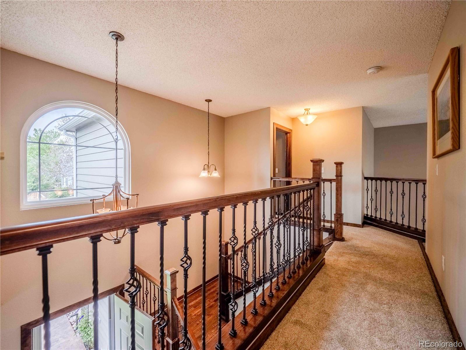 MLS Image #29 for 10071  silver maple circle,highlands ranch, Colorado