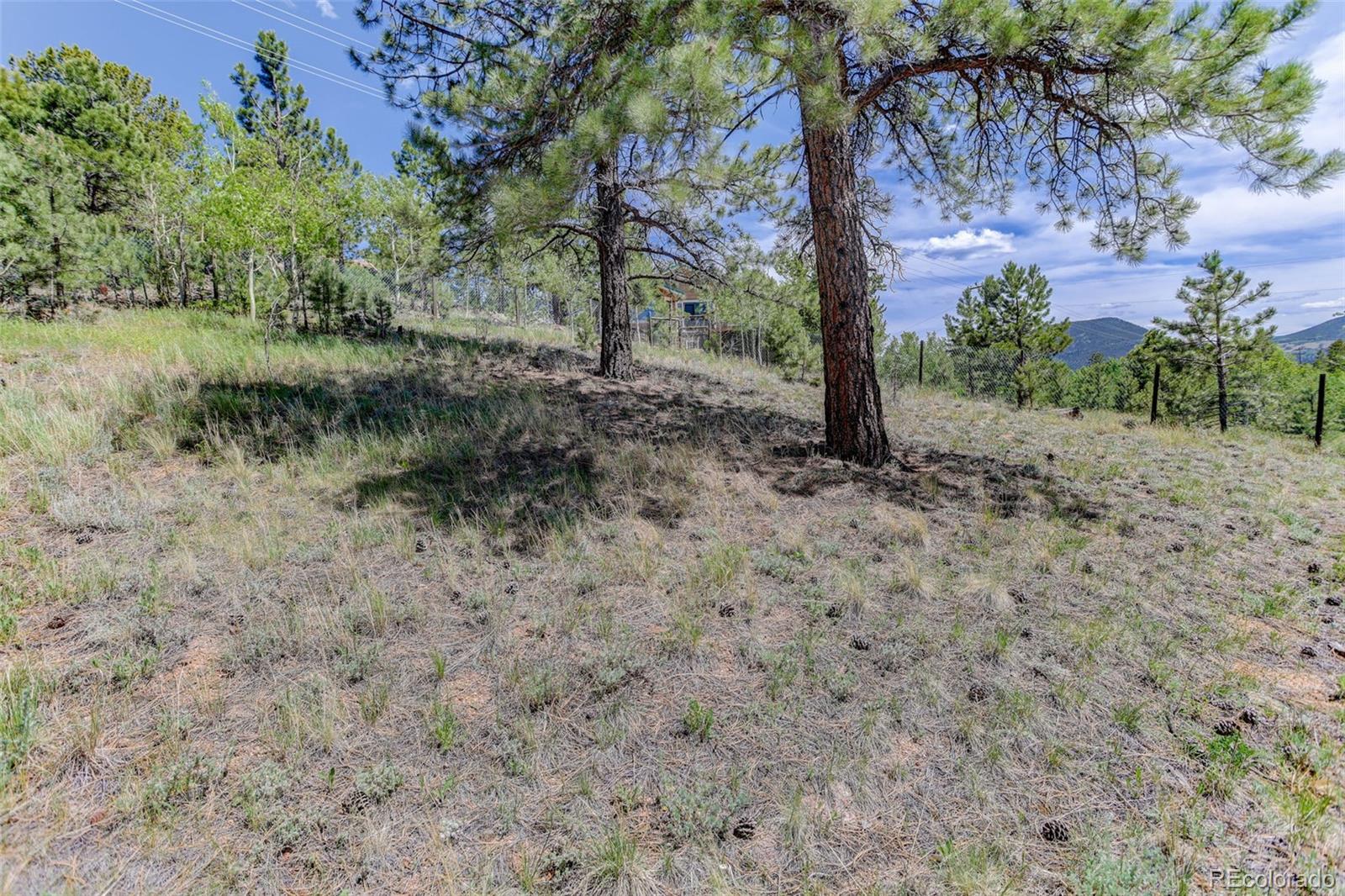 MLS Image #36 for 606  clark road,bailey, Colorado