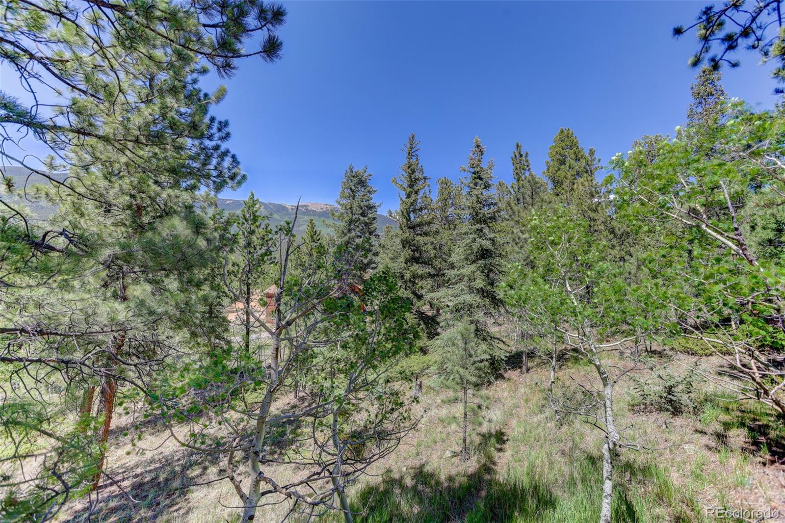MLS Image #38 for 606  clark road,bailey, Colorado