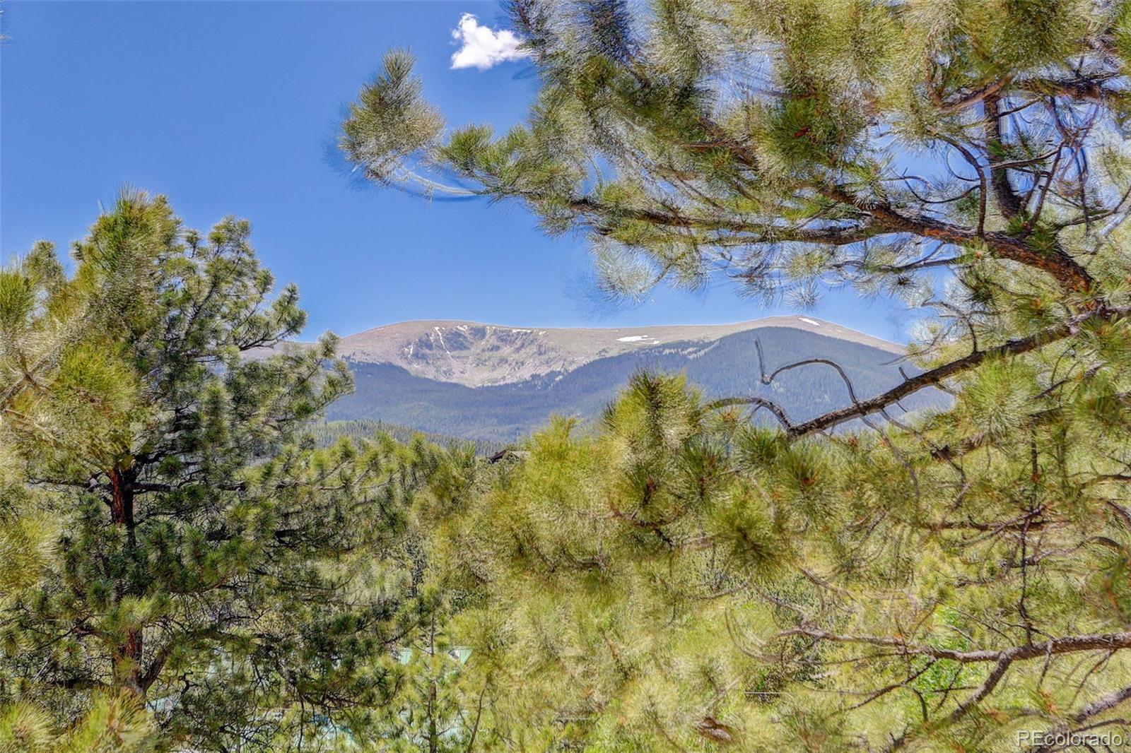 MLS Image #6 for 606  clark road,bailey, Colorado