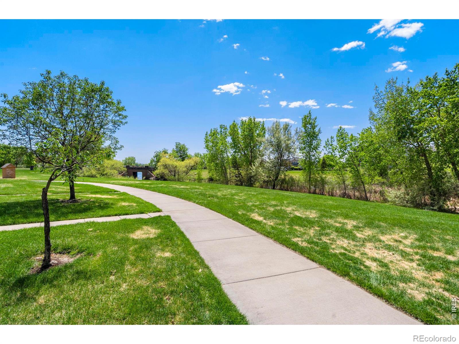 MLS Image #23 for 137  bayside circle,windsor, Colorado