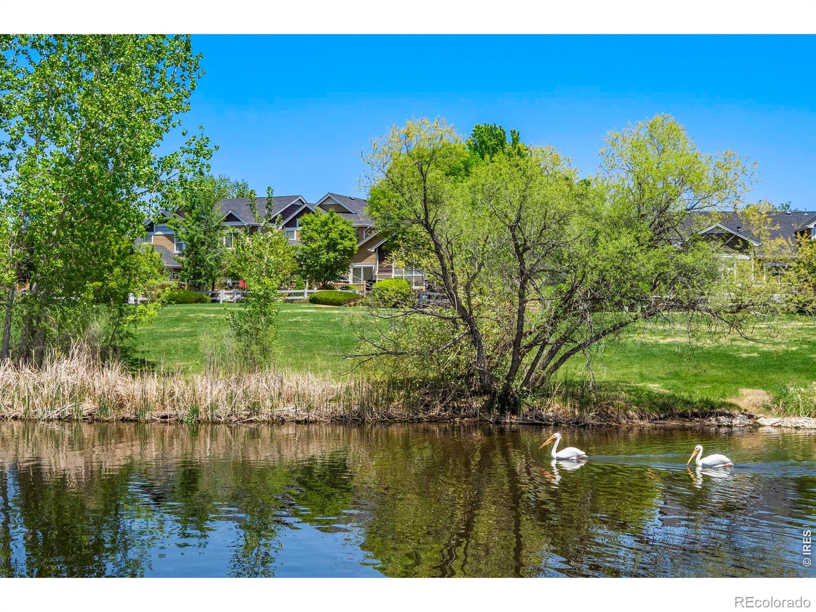 MLS Image #25 for 137  bayside circle,windsor, Colorado