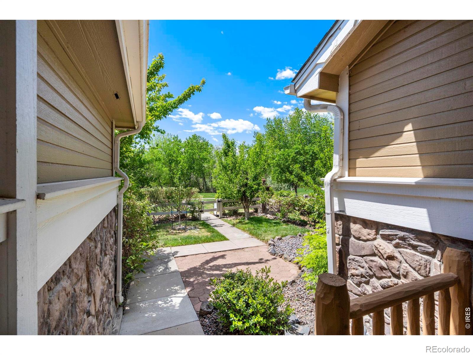 MLS Image #3 for 137  bayside circle,windsor, Colorado