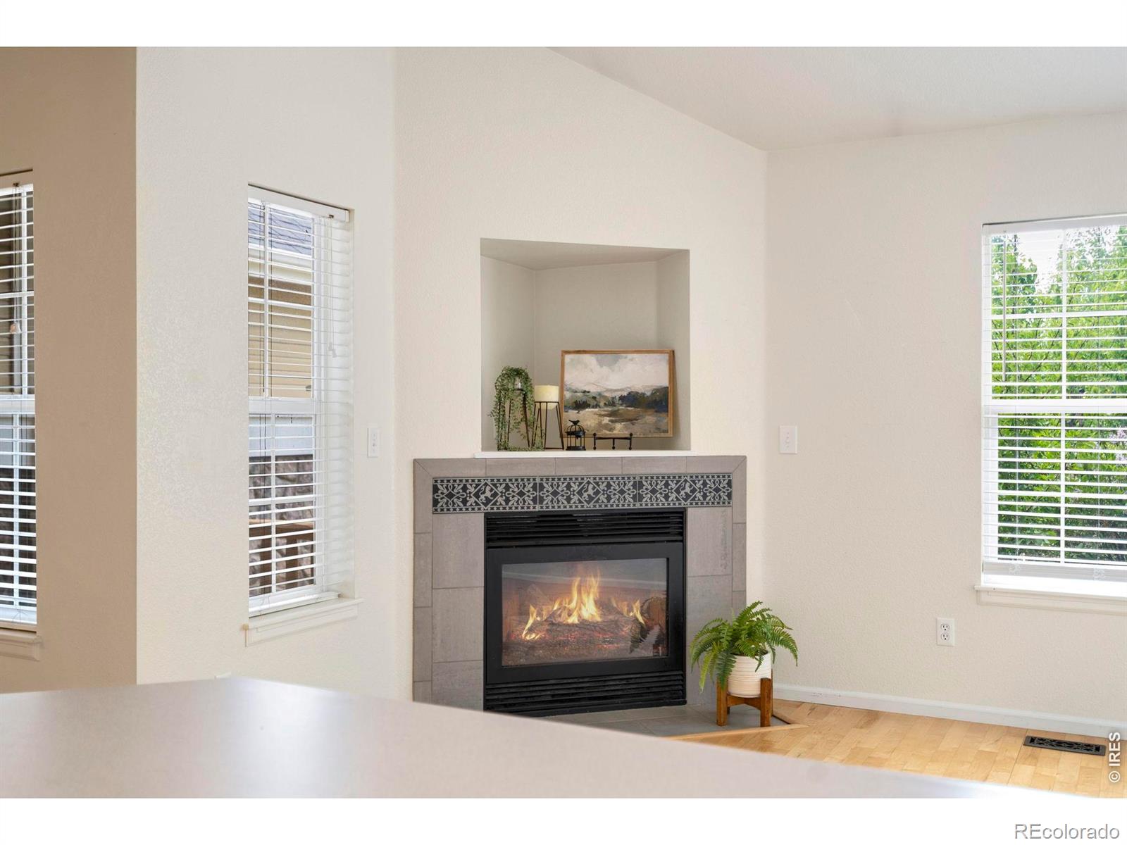 MLS Image #8 for 137  bayside circle,windsor, Colorado