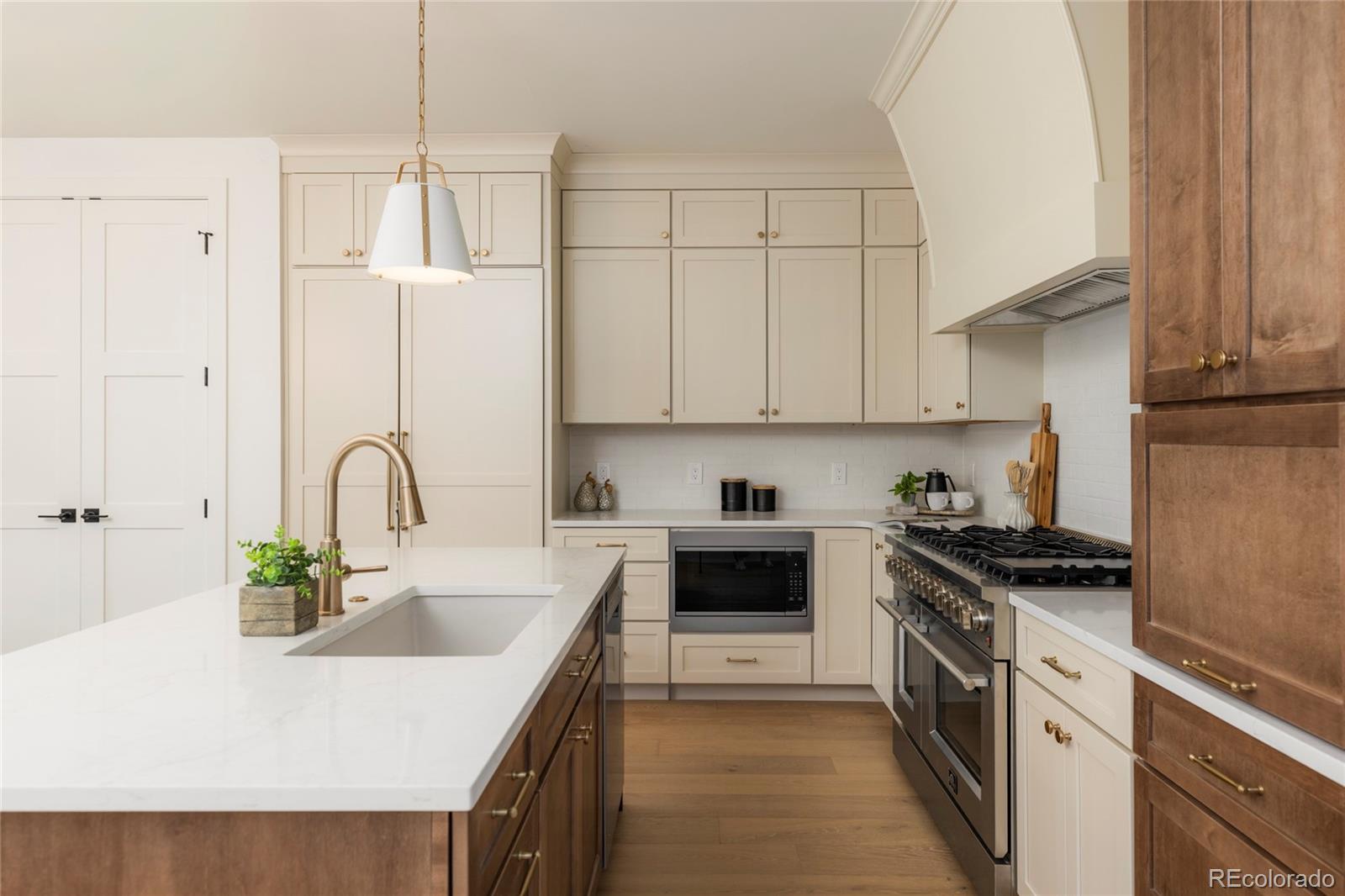 MLS Image #4 for 2910  hooker street,denver, Colorado