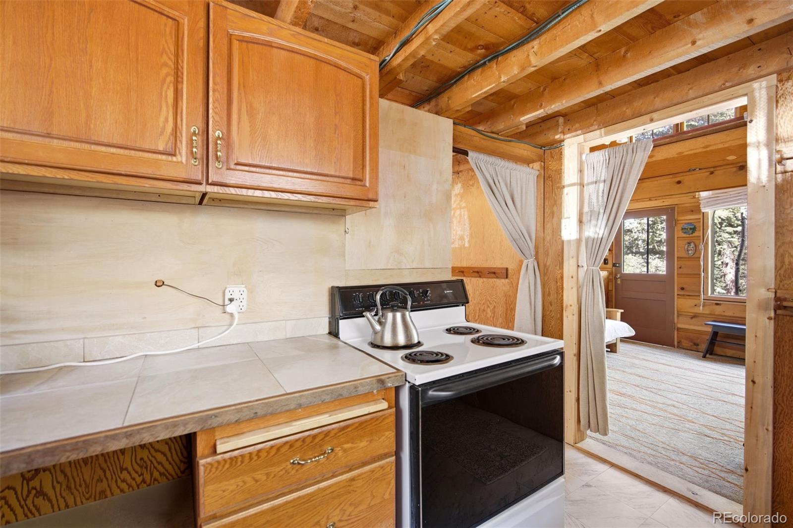 MLS Image #16 for 652  payne gulch road,bailey, Colorado