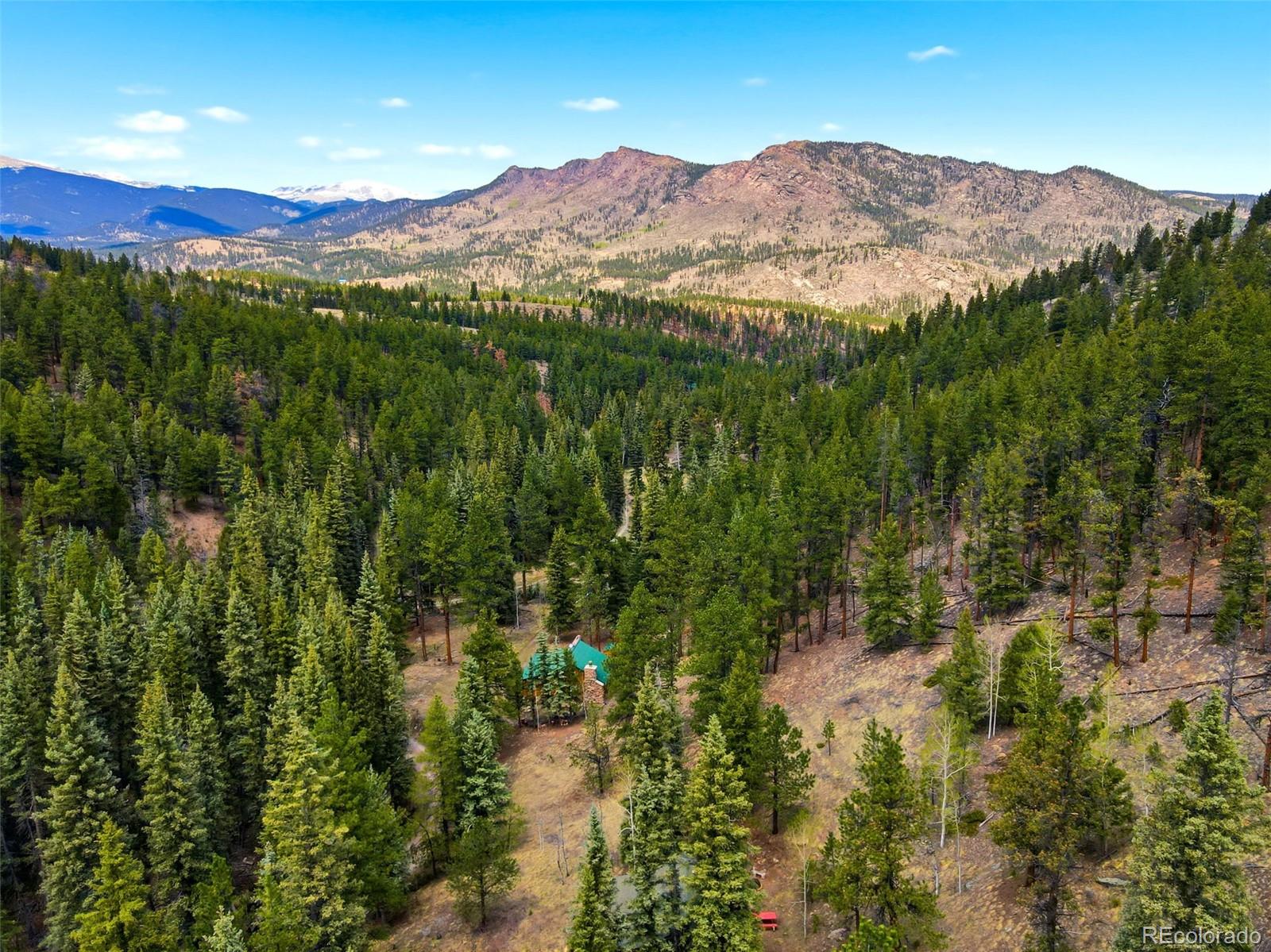 MLS Image #2 for 652  payne gulch road,bailey, Colorado