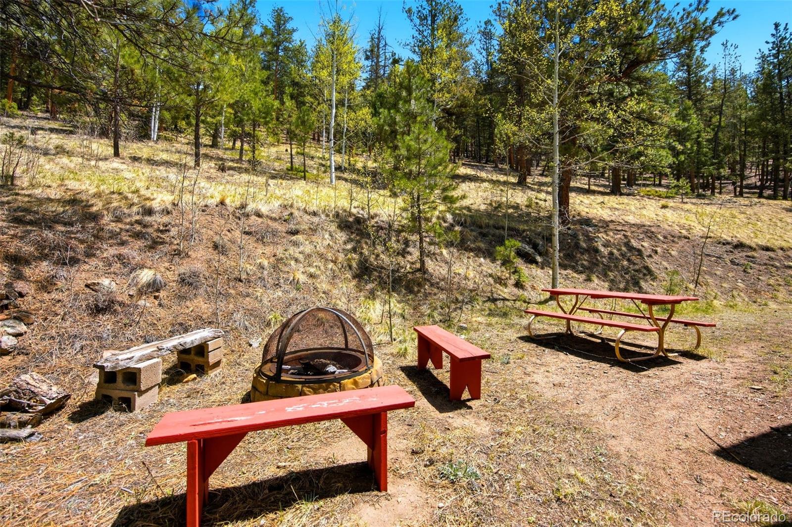 MLS Image #25 for 652  payne gulch road,bailey, Colorado
