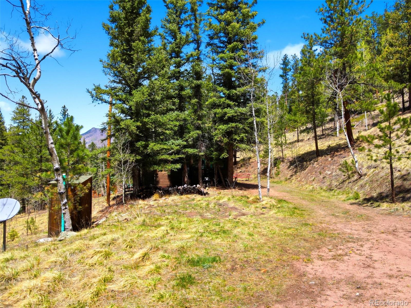 MLS Image #28 for 652  payne gulch road,bailey, Colorado